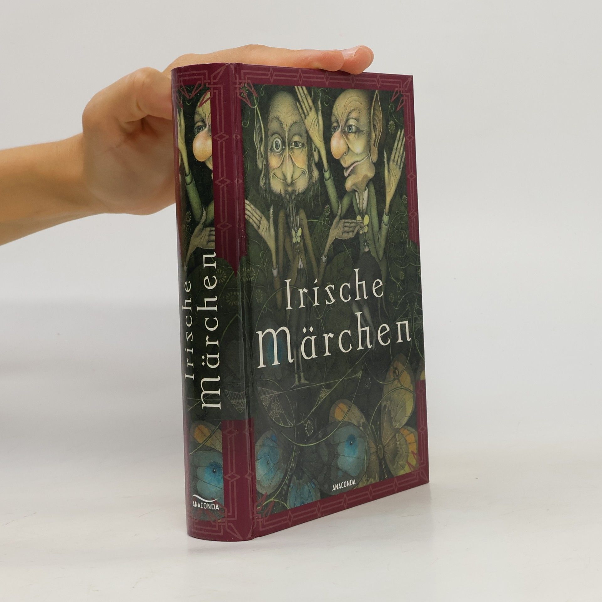 Käte Müller Lisowski Irische Märchen