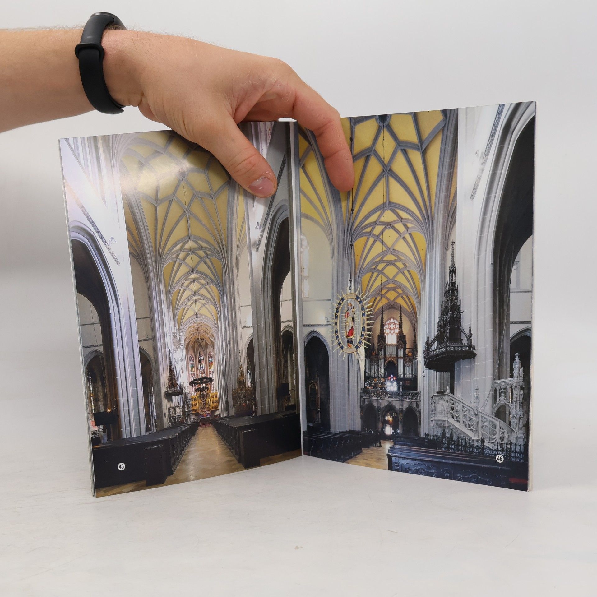 Peter Zubko Dóm sv. Alžbety v Košiciach : perla gotickej cesty = St. Elisabeth Cathedral in Košice : a pearl of the gothic route