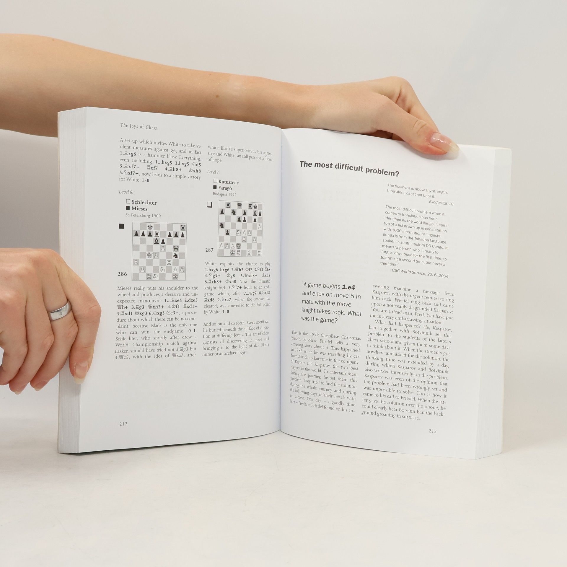 Christian Hesse Joys of Chess