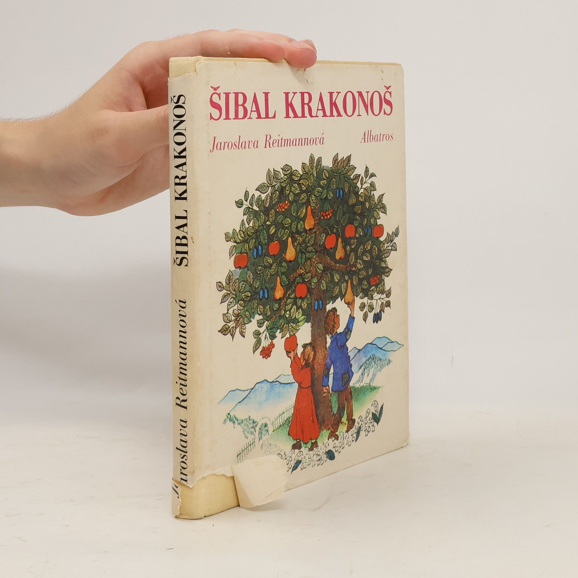 Jaroslava Reitmannová Šibal Krakonoš