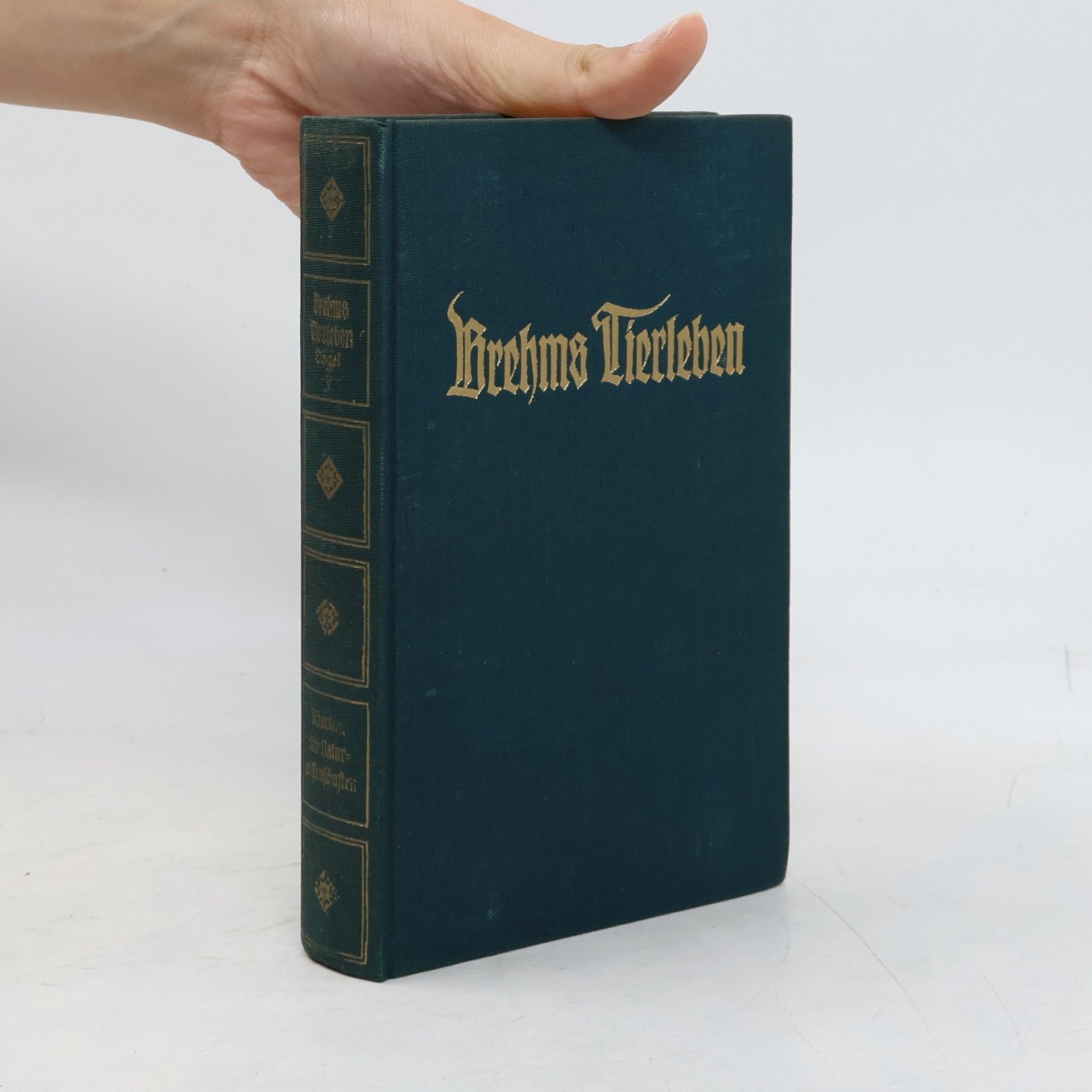 Adolf Meyer Brehms Tierleben 19