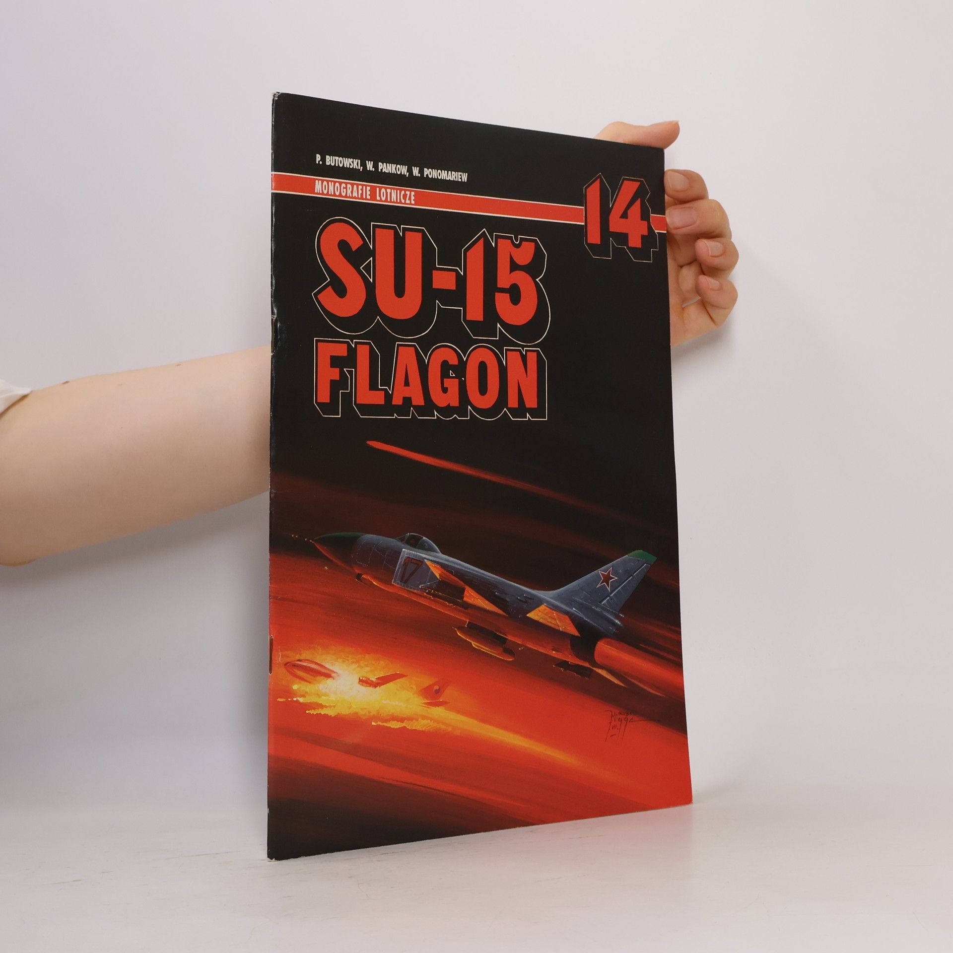 W. Pankow Su-15 Flagon 14