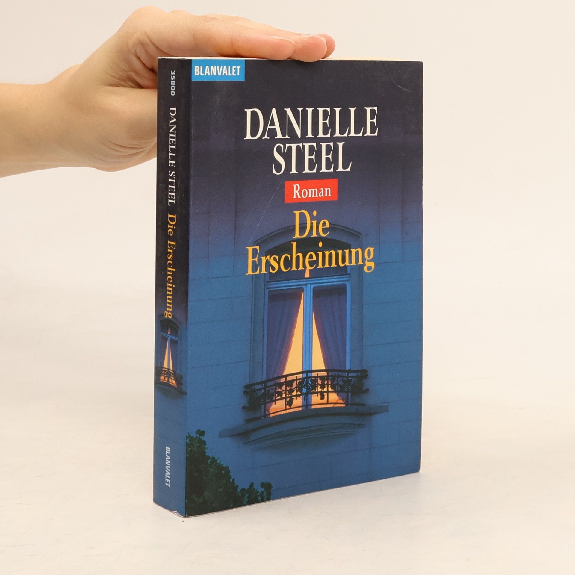 Danielle Steelová Die Erscheinung