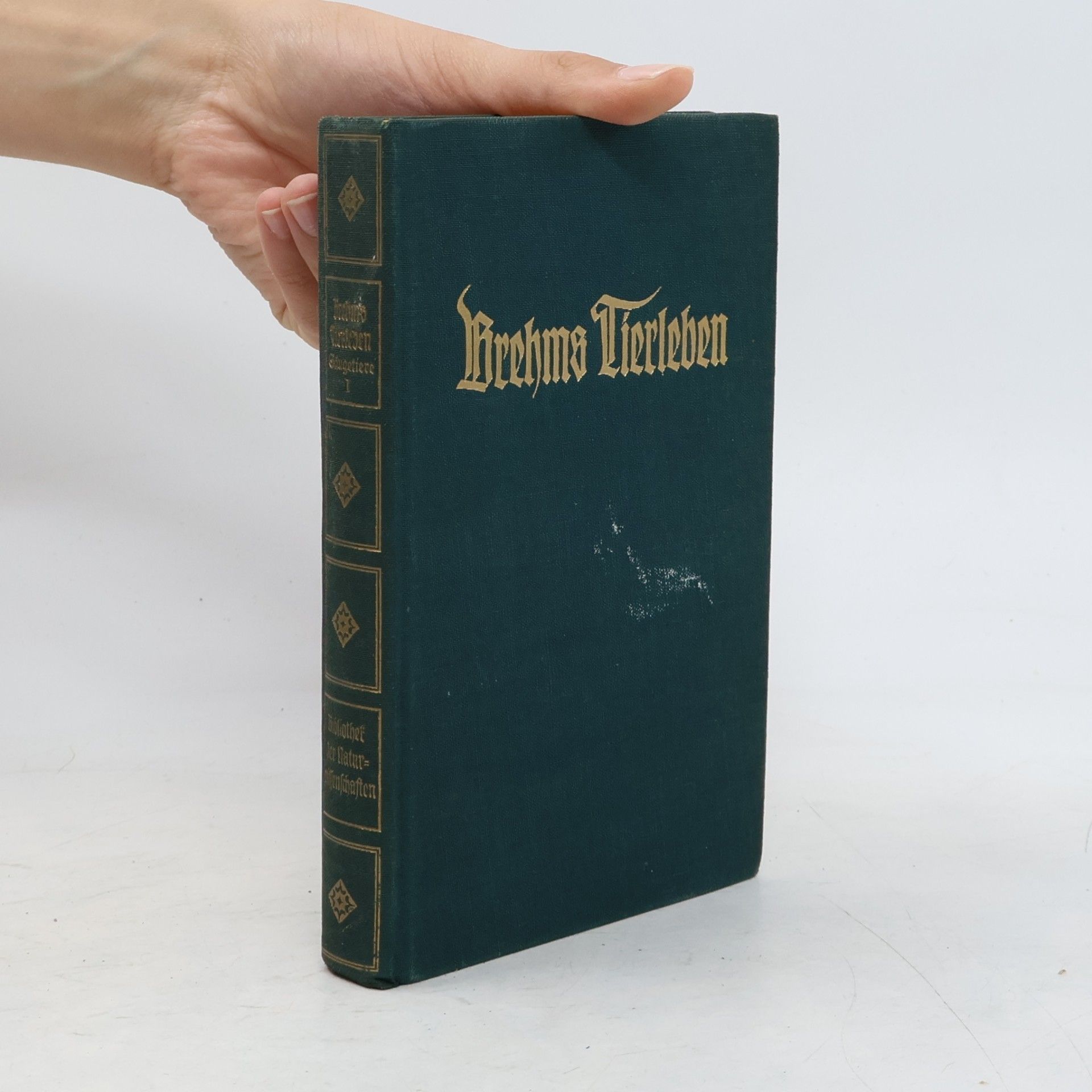 Alfred Edmund Brehm Brehms Tierleben. Gäugetiere