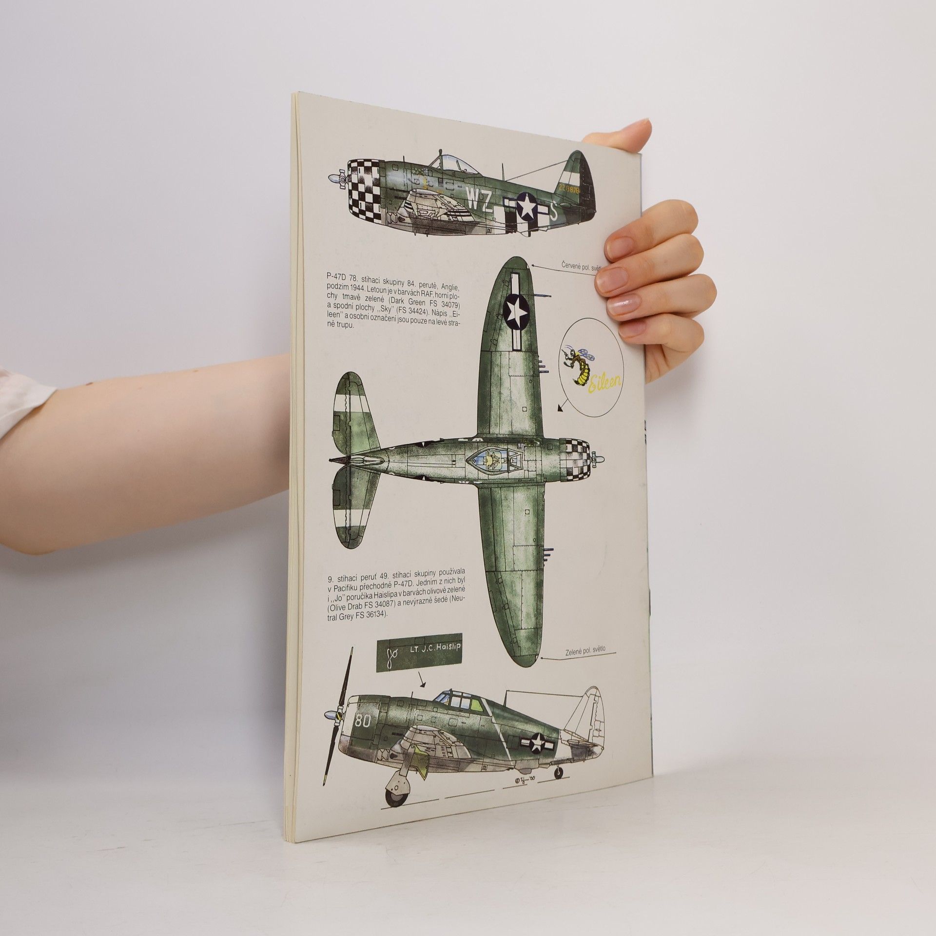Kolektiv autorů Republic P-47 Thunderbolt 1.