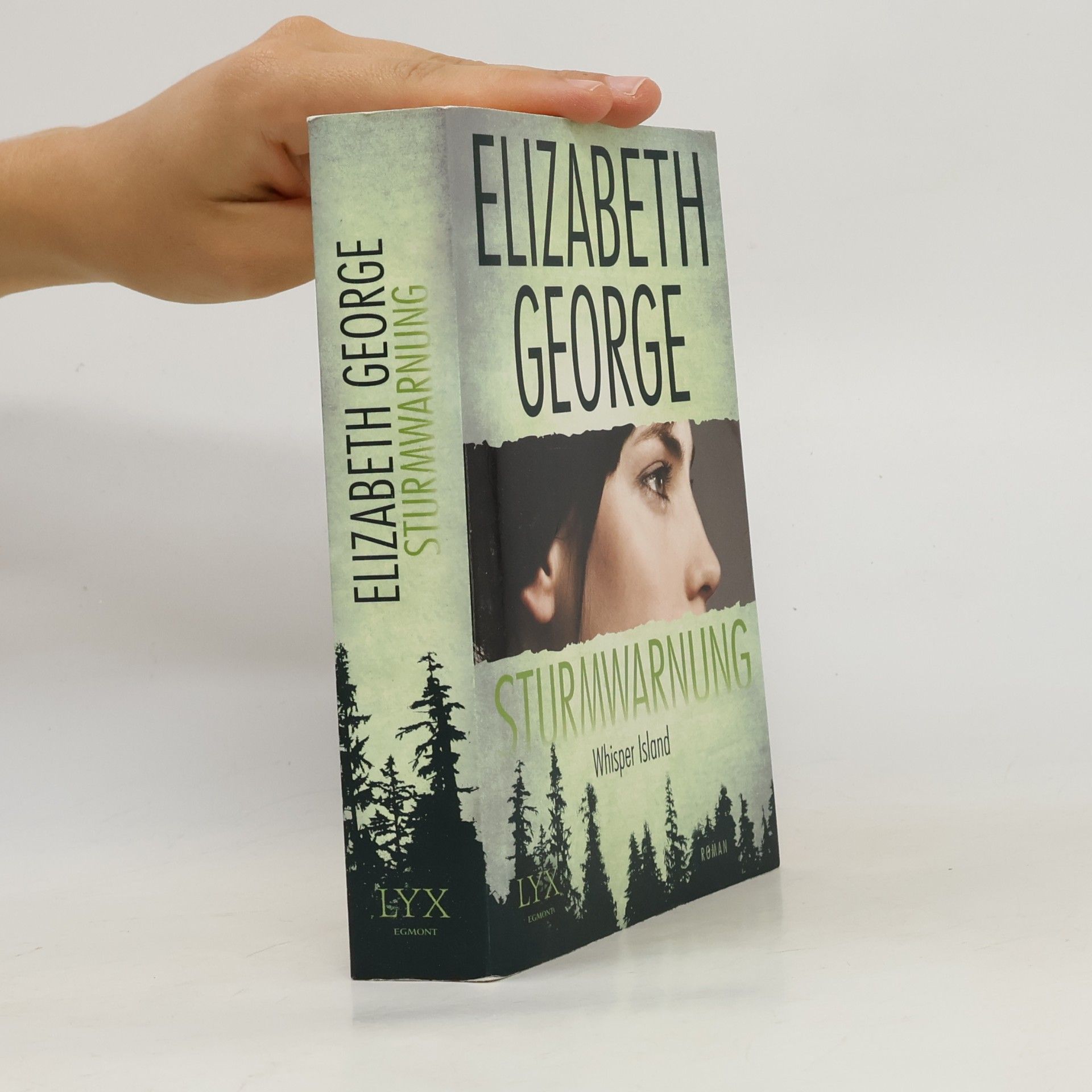 Elizabeth George Sturmwarnung: Whisper Island