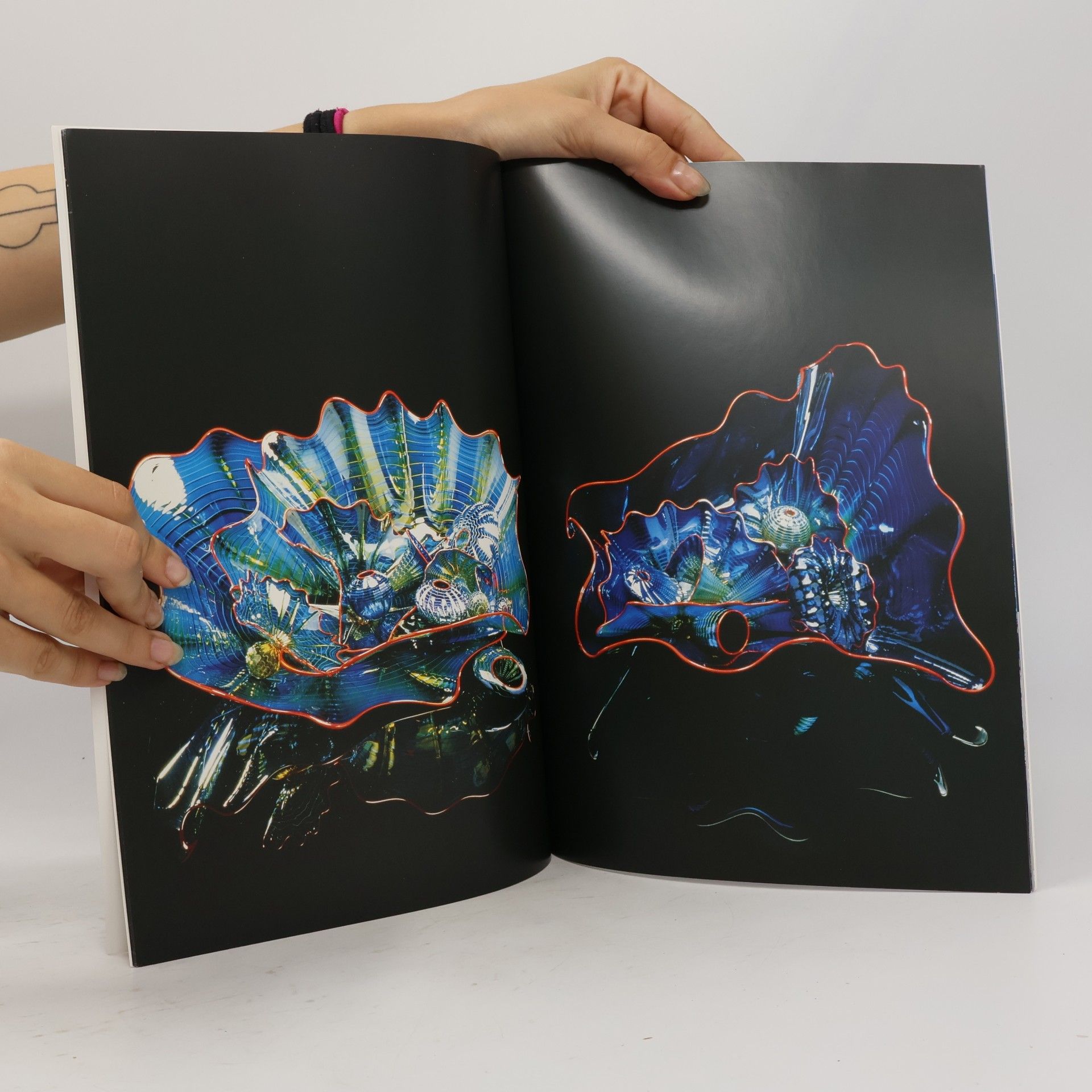 Barbaralee Diamonstein Spielvogel Dale Chihuly