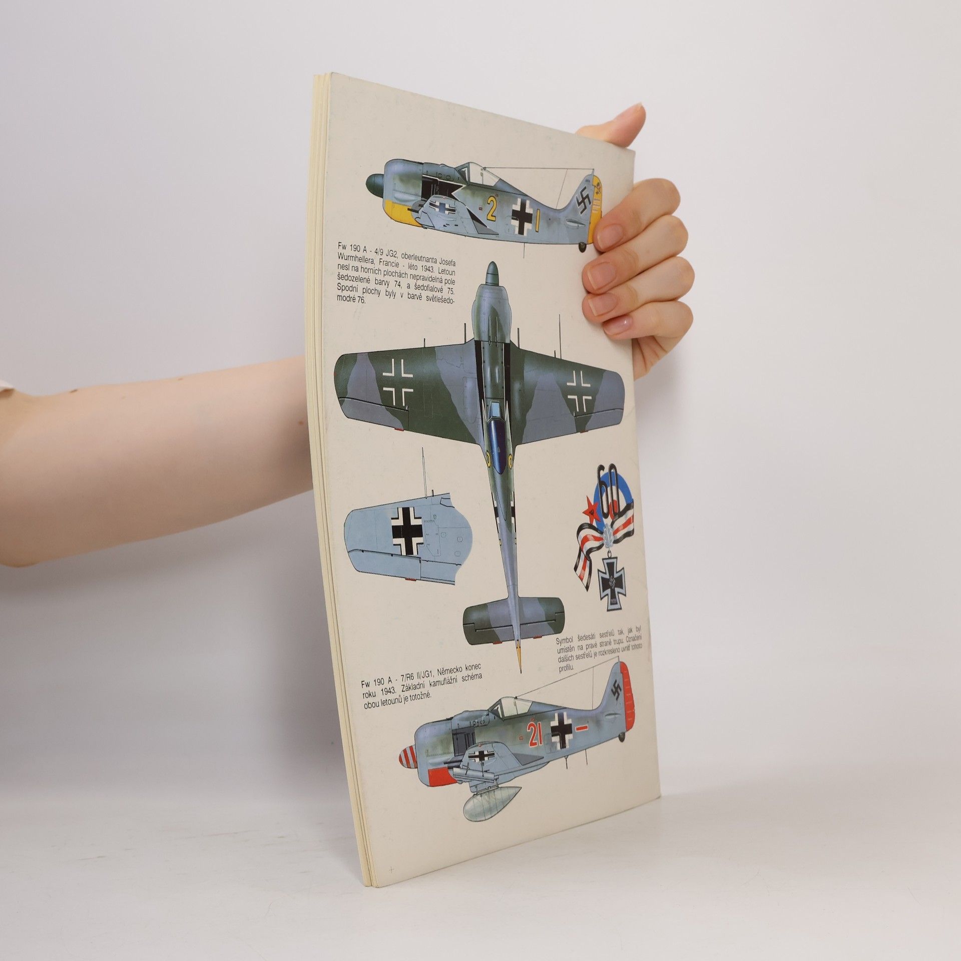Miroslav Balous Focke - Wulf Fw 190A