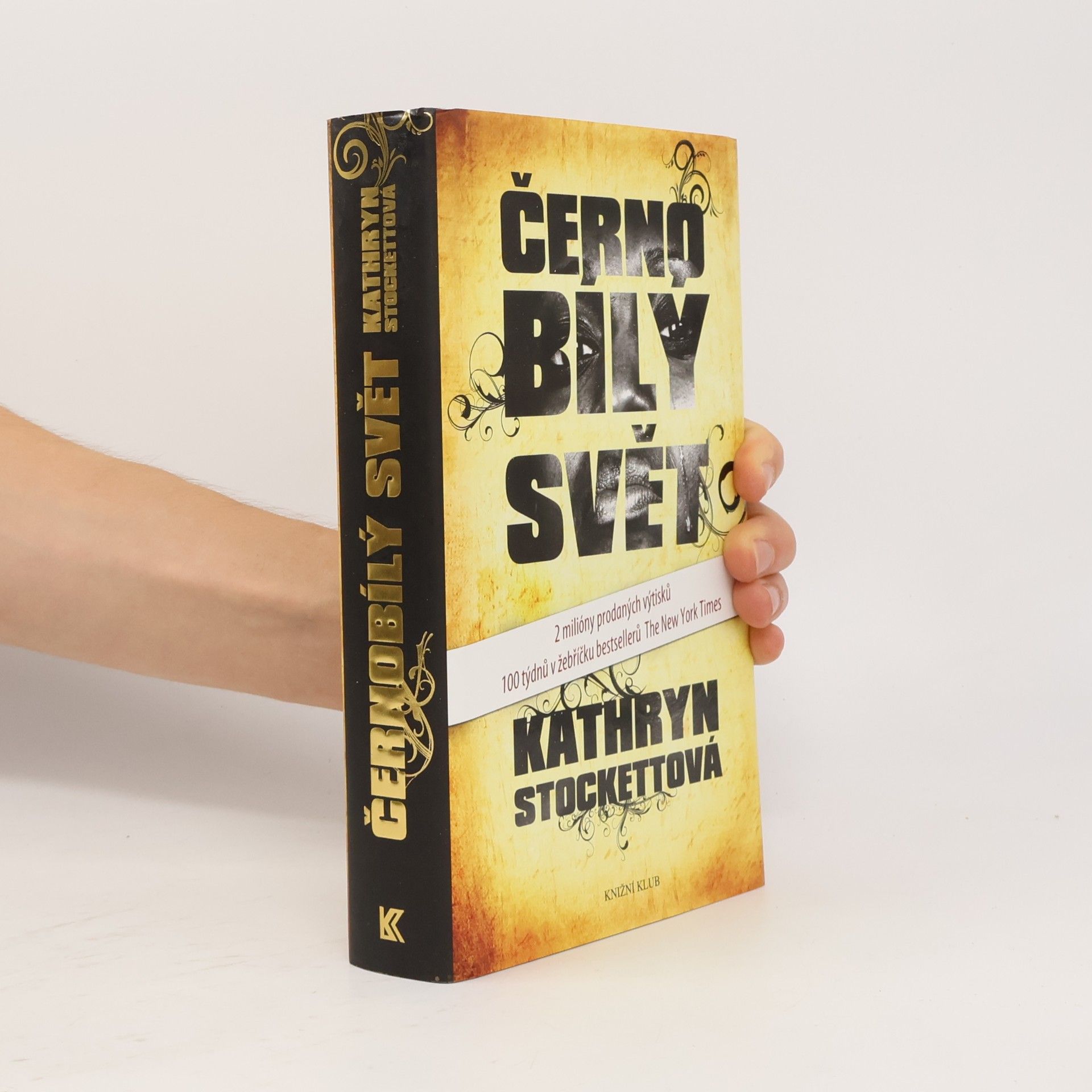 Kathryn Stockett Černobílý svět
