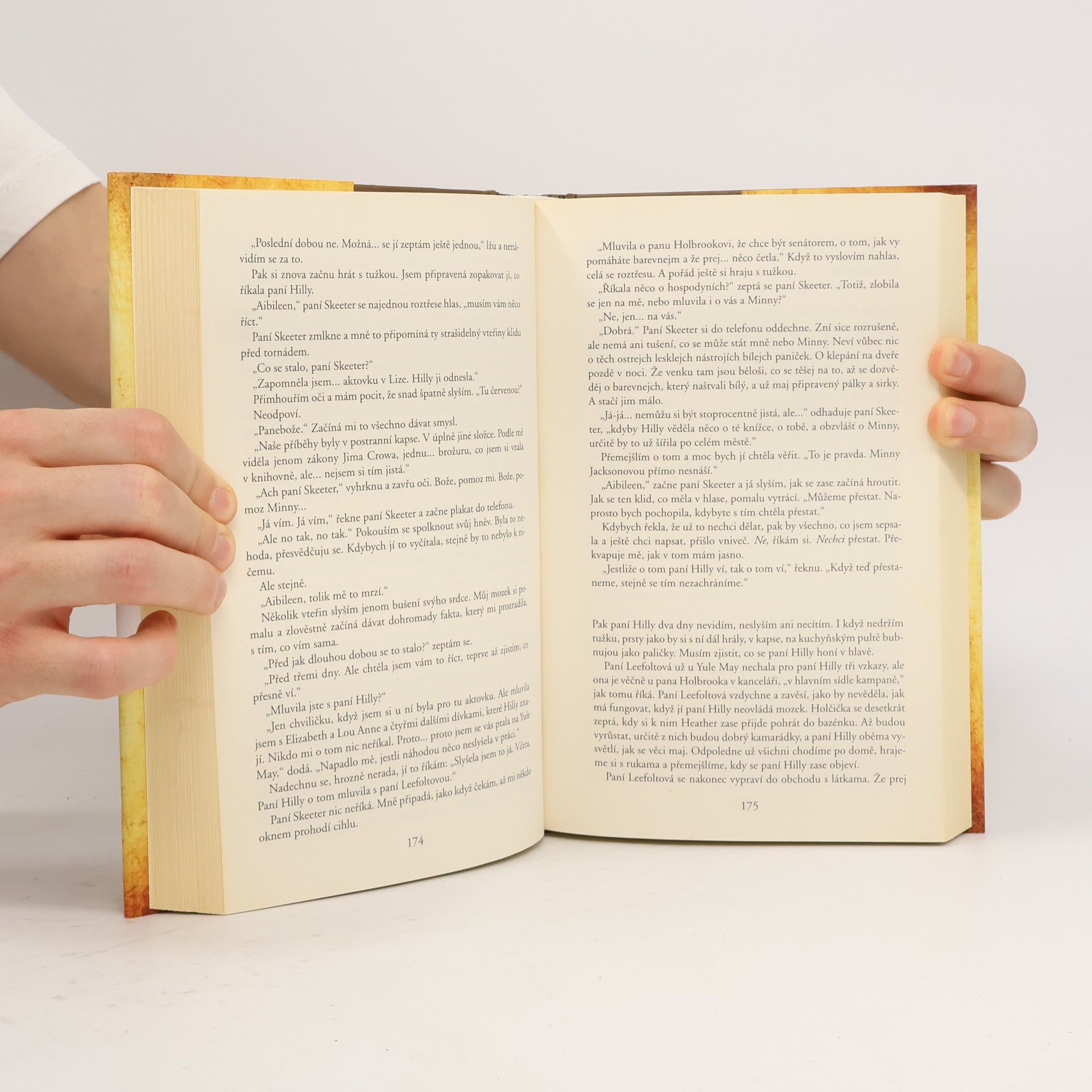 Kathryn Stockett Černobílý svět