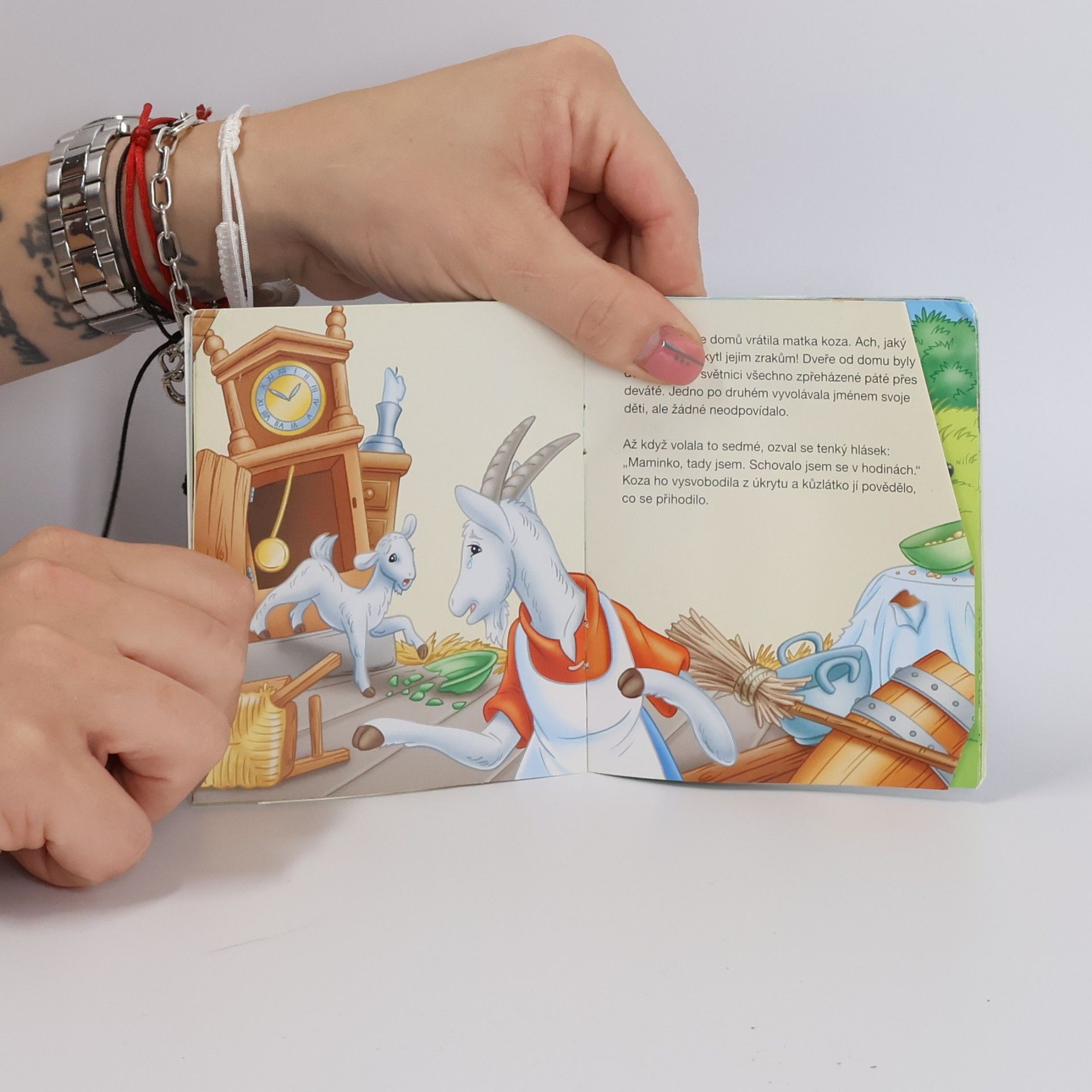 Collectif d'auteurs Vlk a sedm kůzlátek