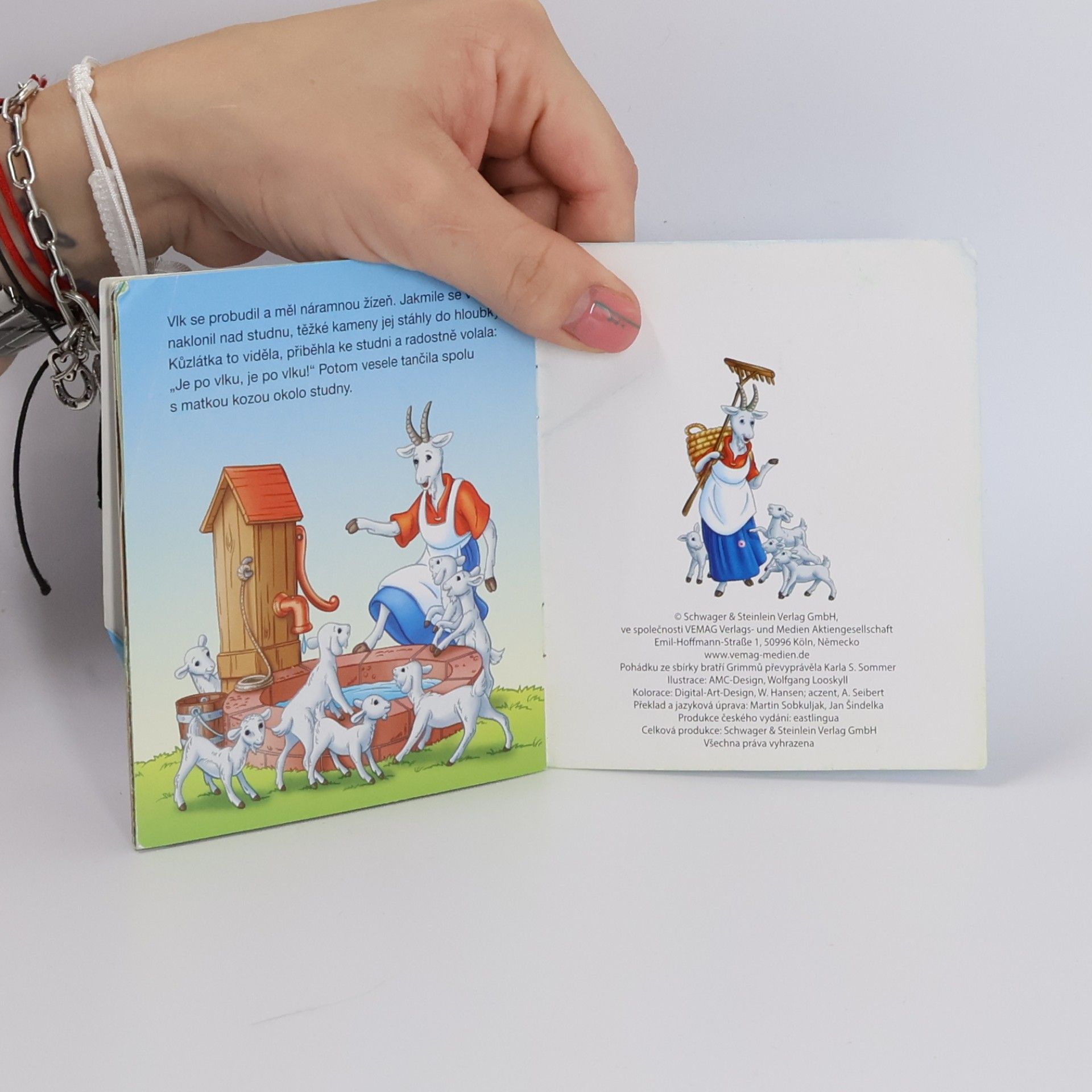 Collectif d'auteurs Vlk a sedm kůzlátek