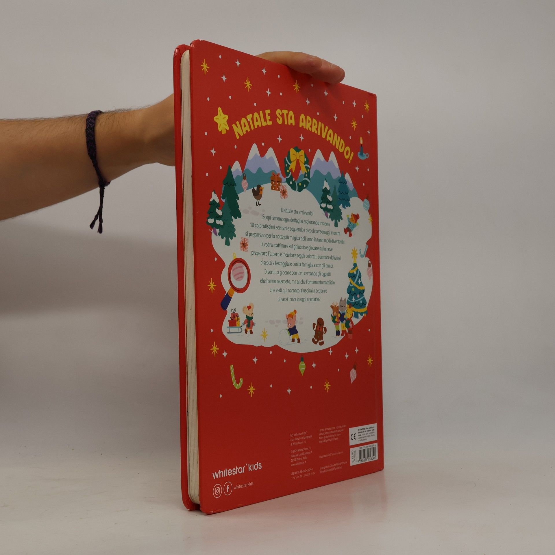Natale. Cerca e trova. Ediz. a colori