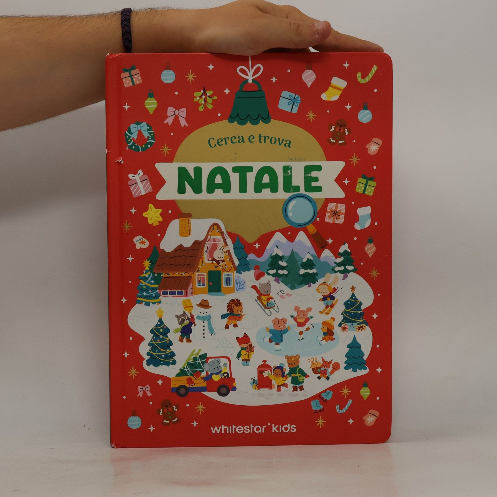 Natale. Cerca e trova. Ediz. a colori