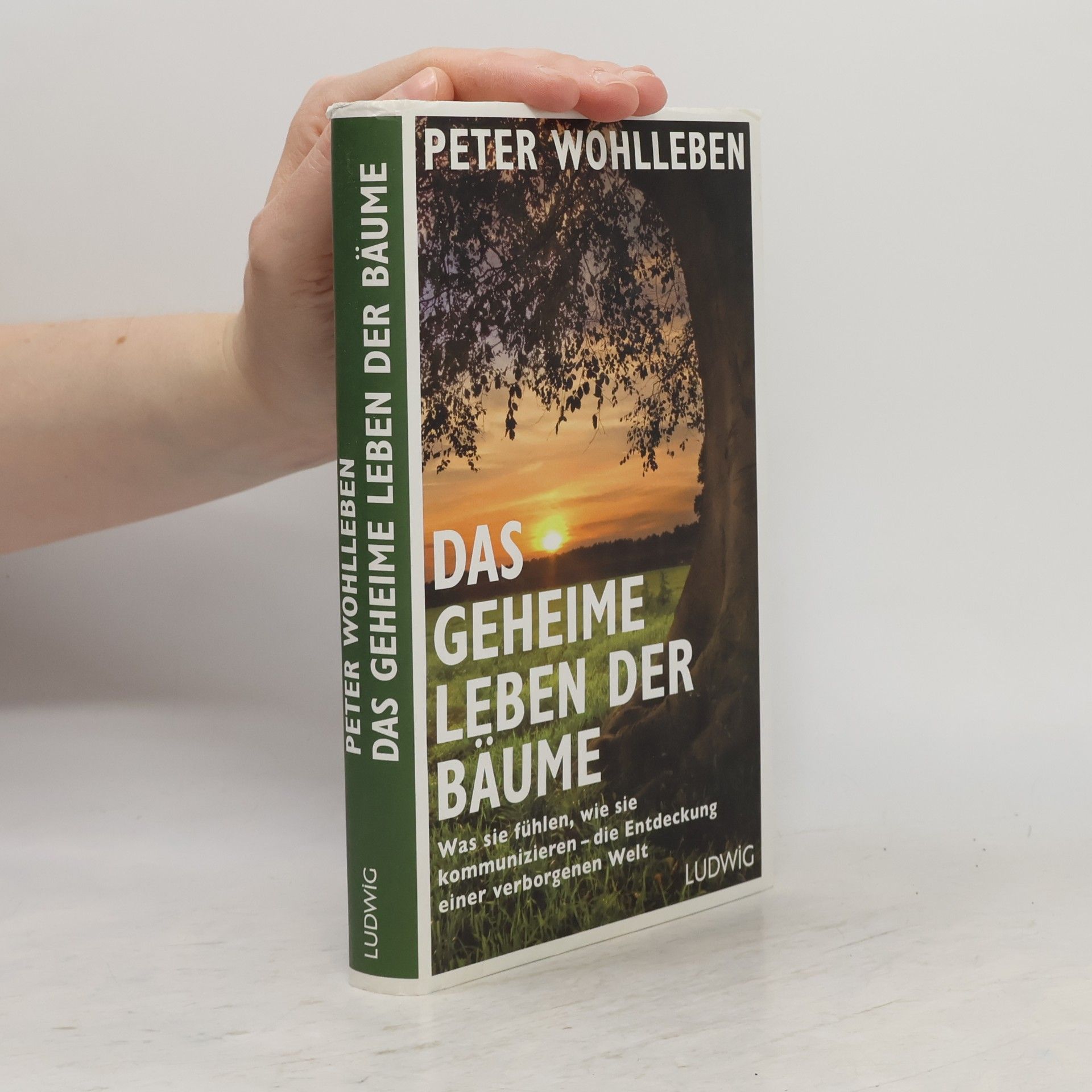 Peter Wohlleben Das geheime Leben der Bäume