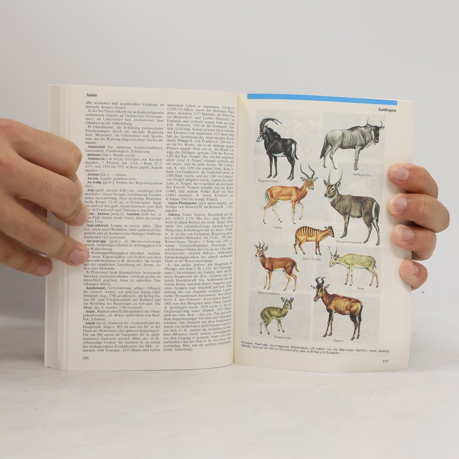 Autorenkollektiv dtv Lexikon 1-20