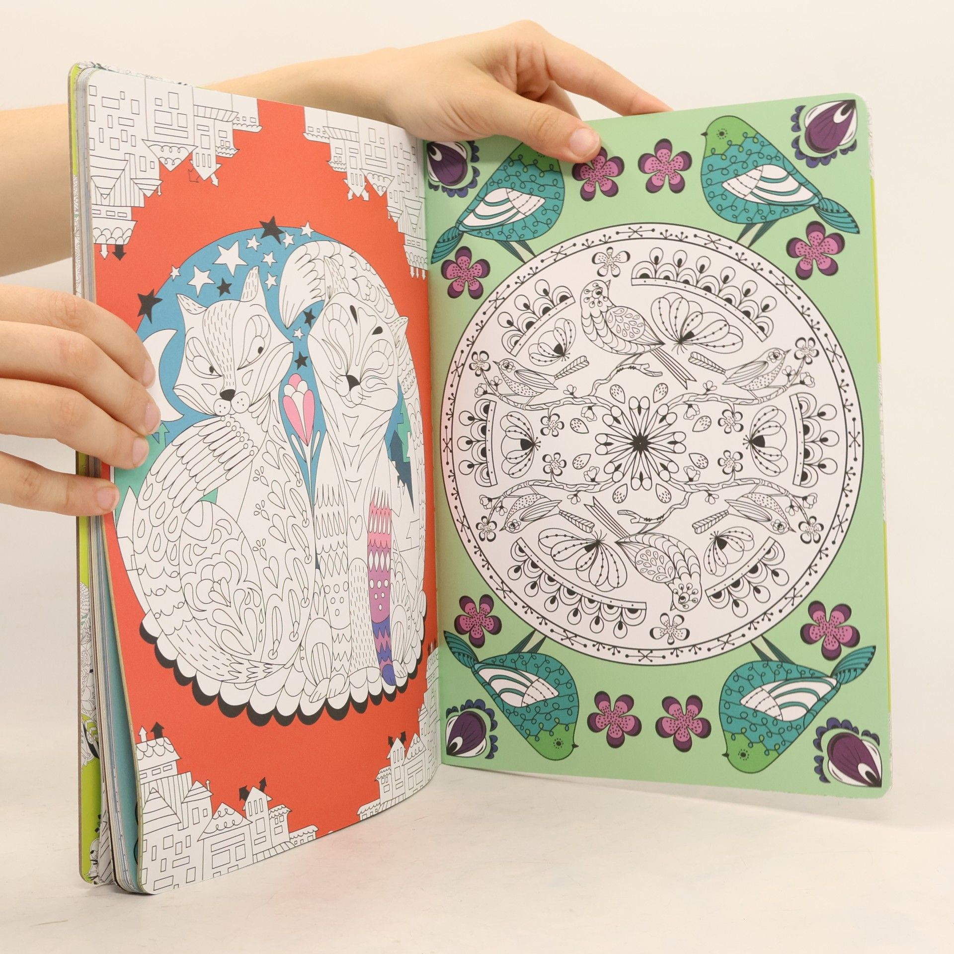 Cinzia Siléo Zeit zum Entspannen: Mandalas Harmonie und Farbenzauber