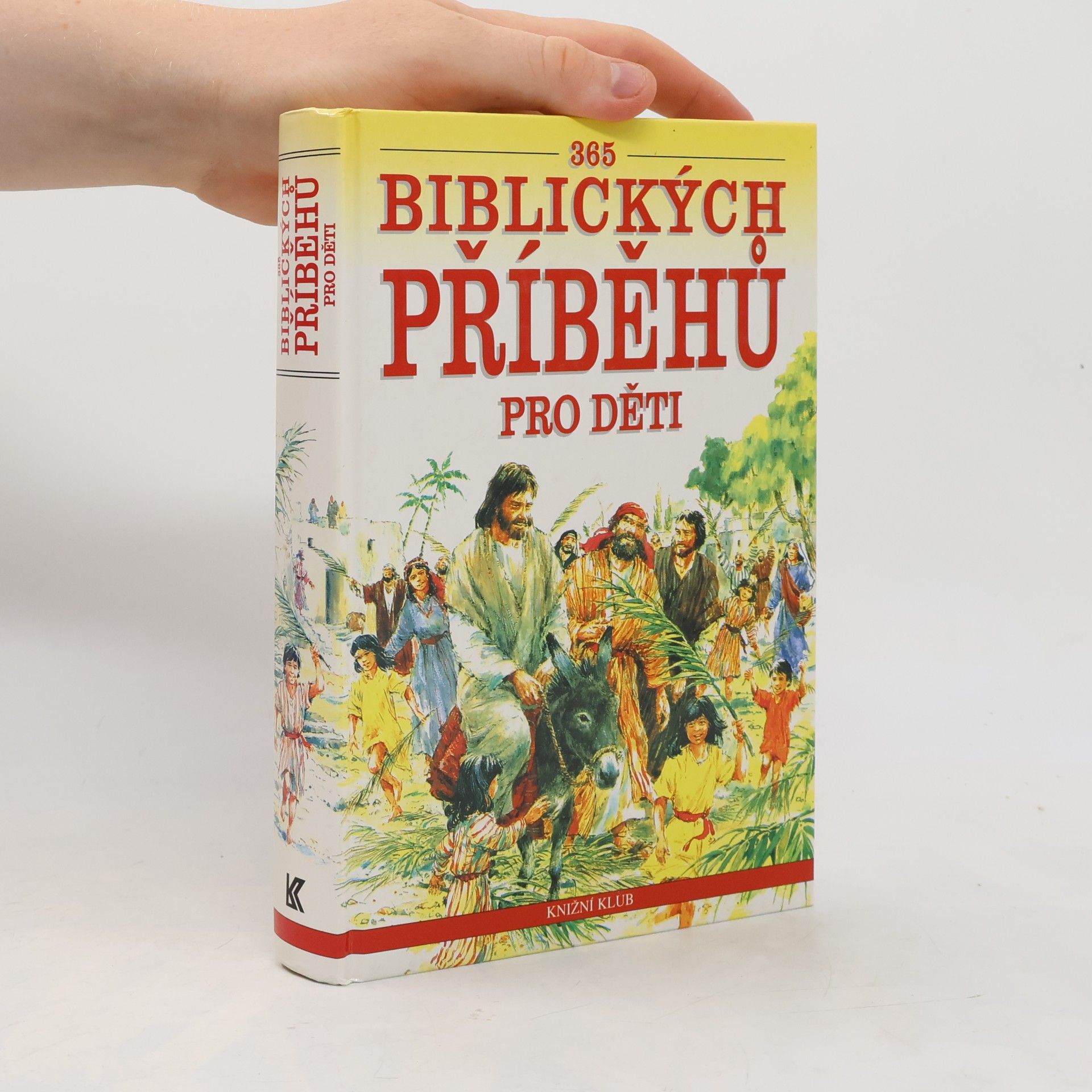 John Haysom 365 biblických příběhů pro děti