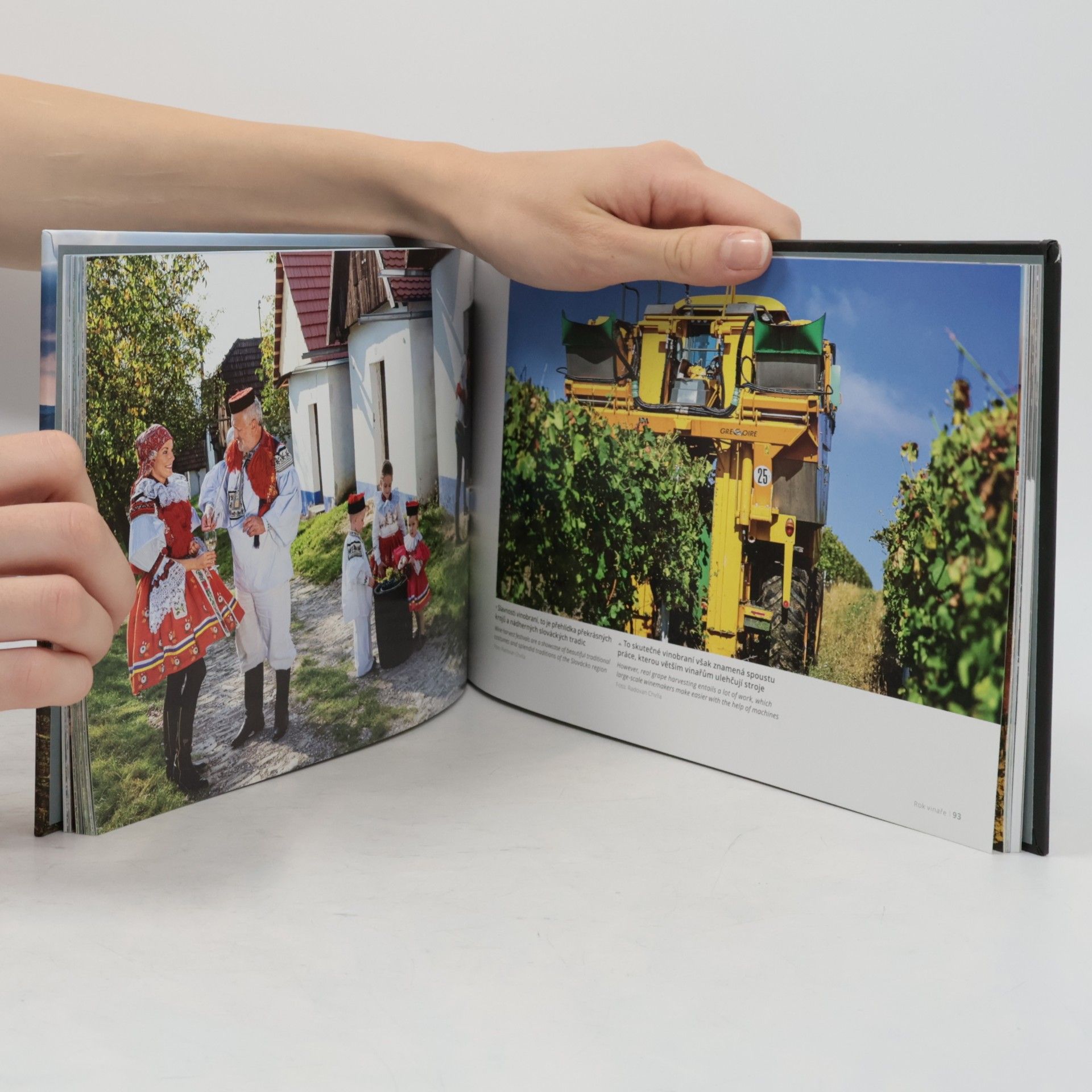 Radka Srněnská Rok vinaře. A Year in the Life of a Winemaker
