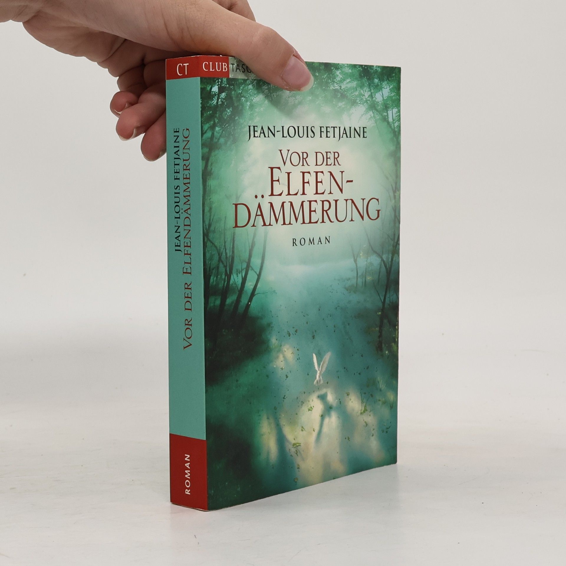 Jean-Louis Fetjaine Vor der Elfendämmerung