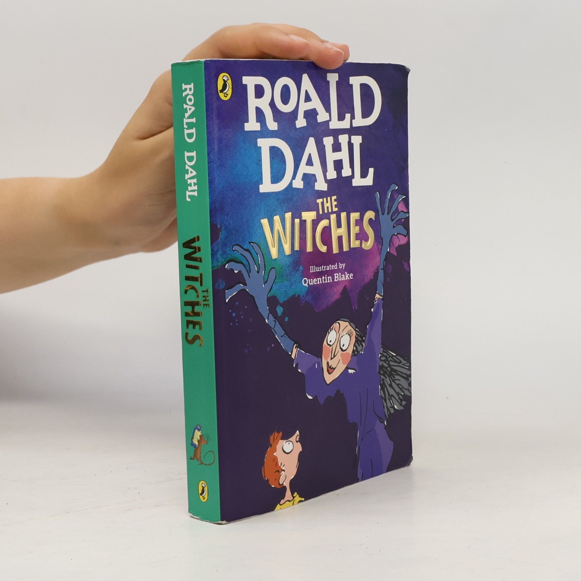 Roald Dahl The Witches