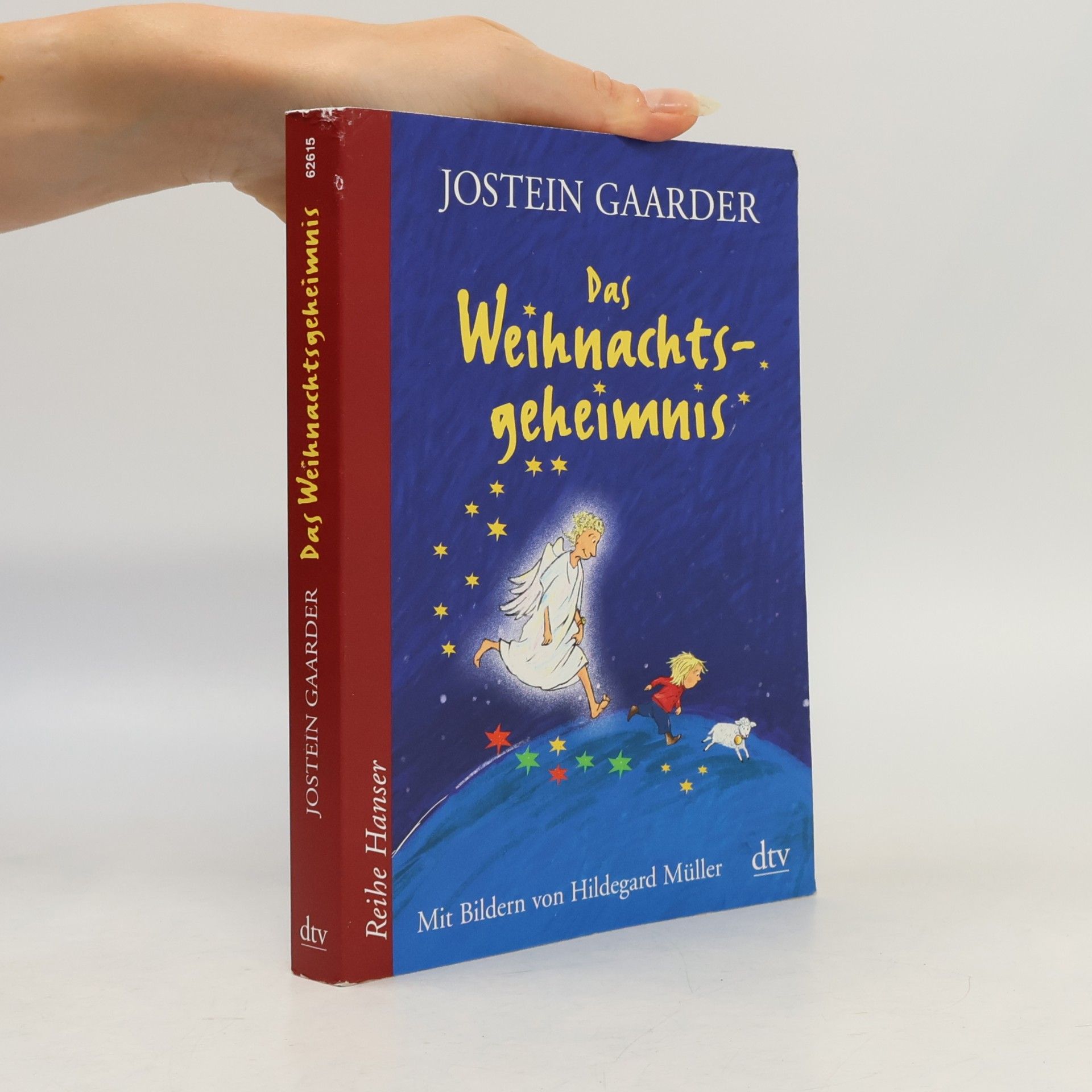 Jostein Gaarder Das Weihnachtsgeheimnis
