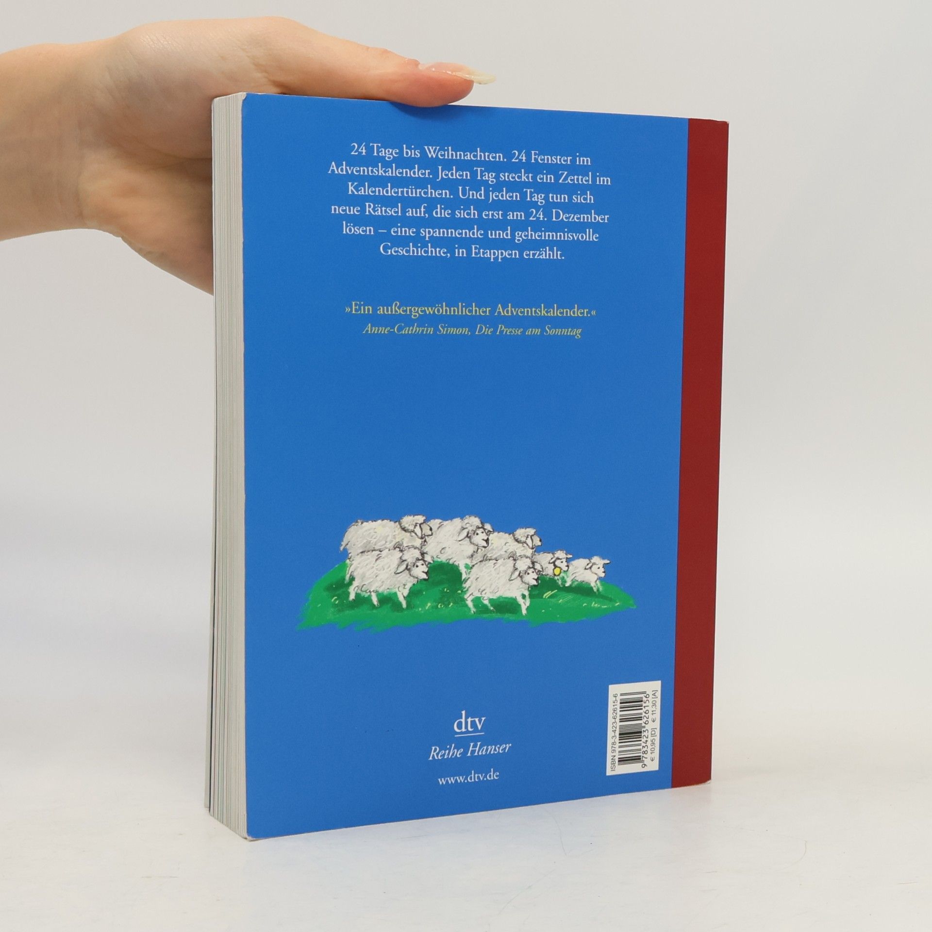 Jostein Gaarder Das Weihnachtsgeheimnis