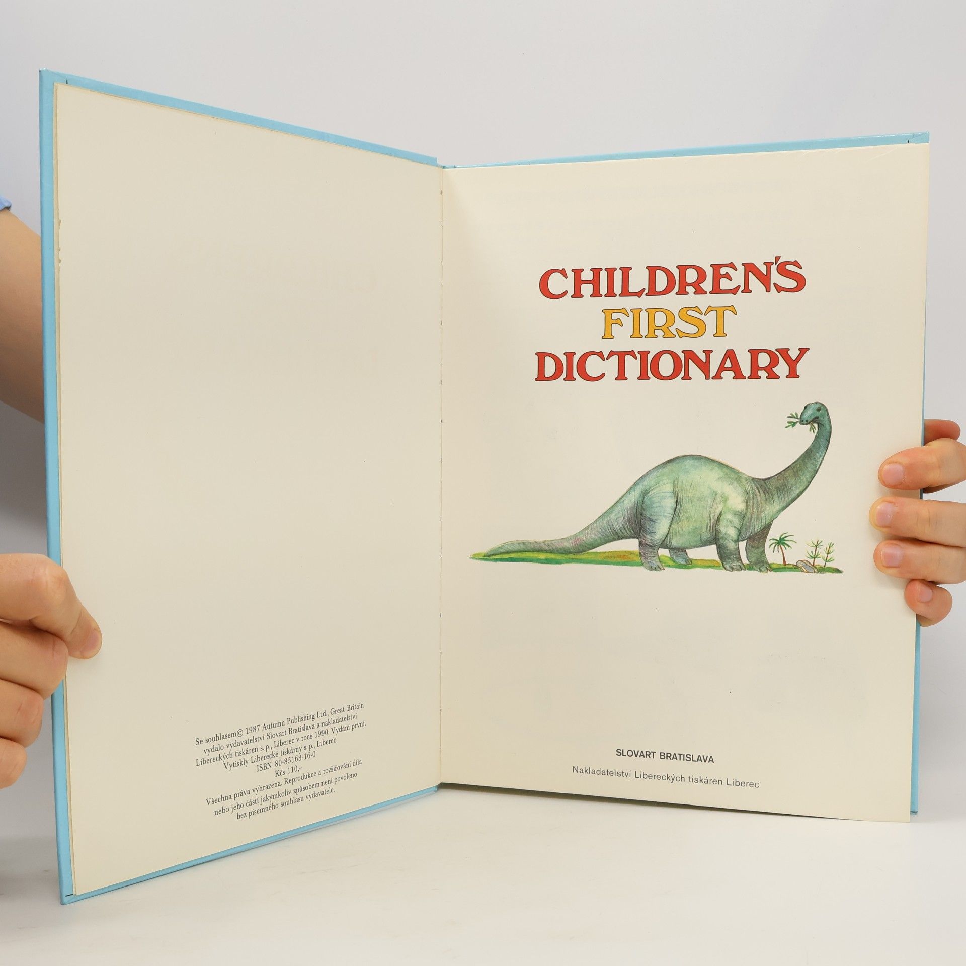Kolektiv autorů Children's First Dictionary