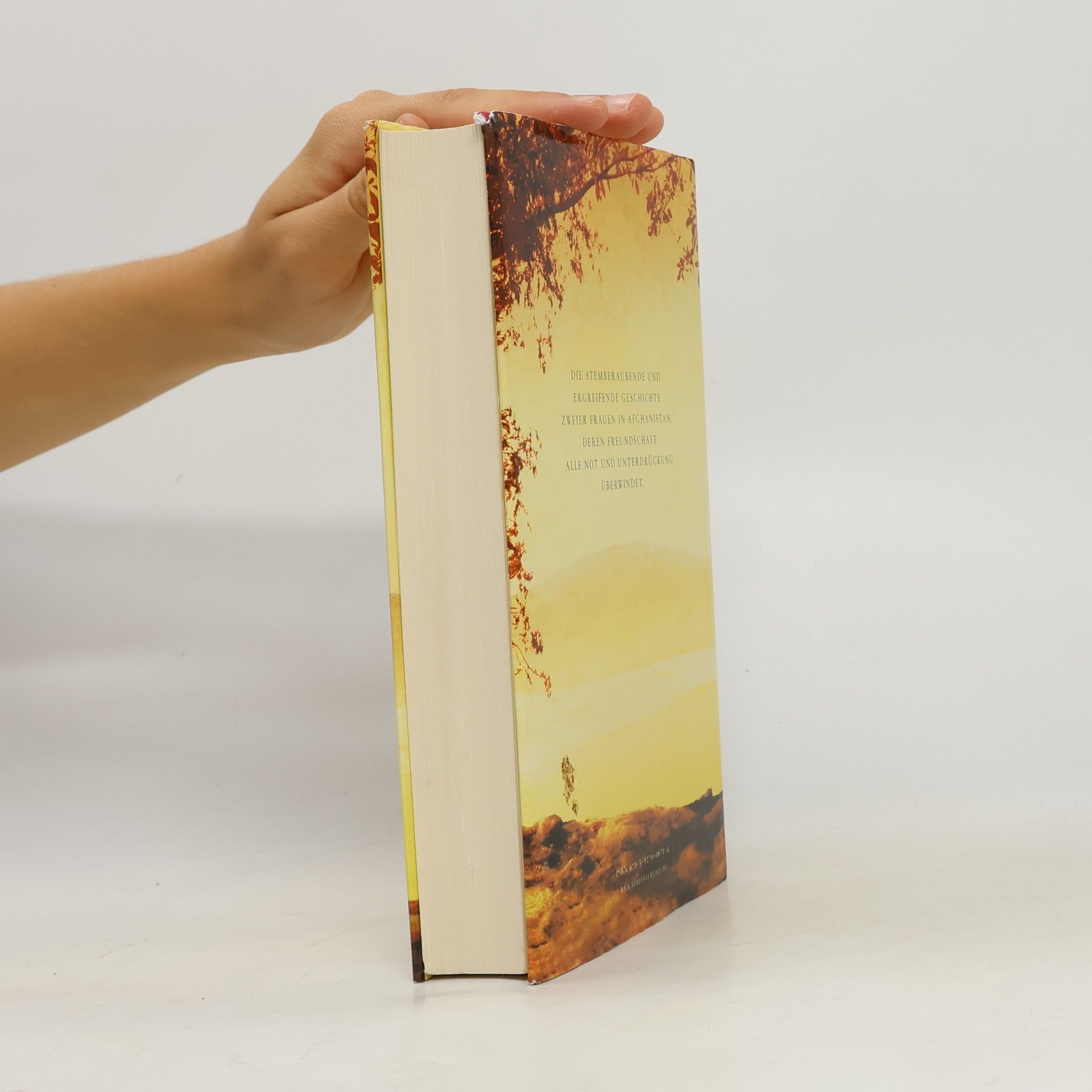 Khaled Hosseini Tausend strahlende Sonnen