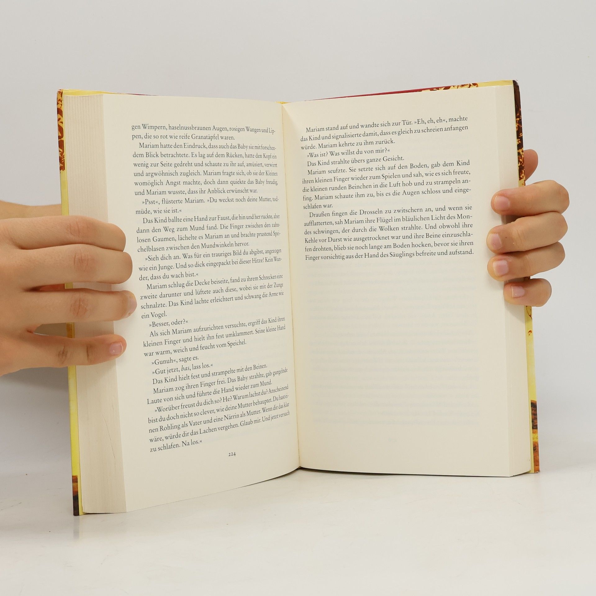 Khaled Hosseini Tausend strahlende Sonnen