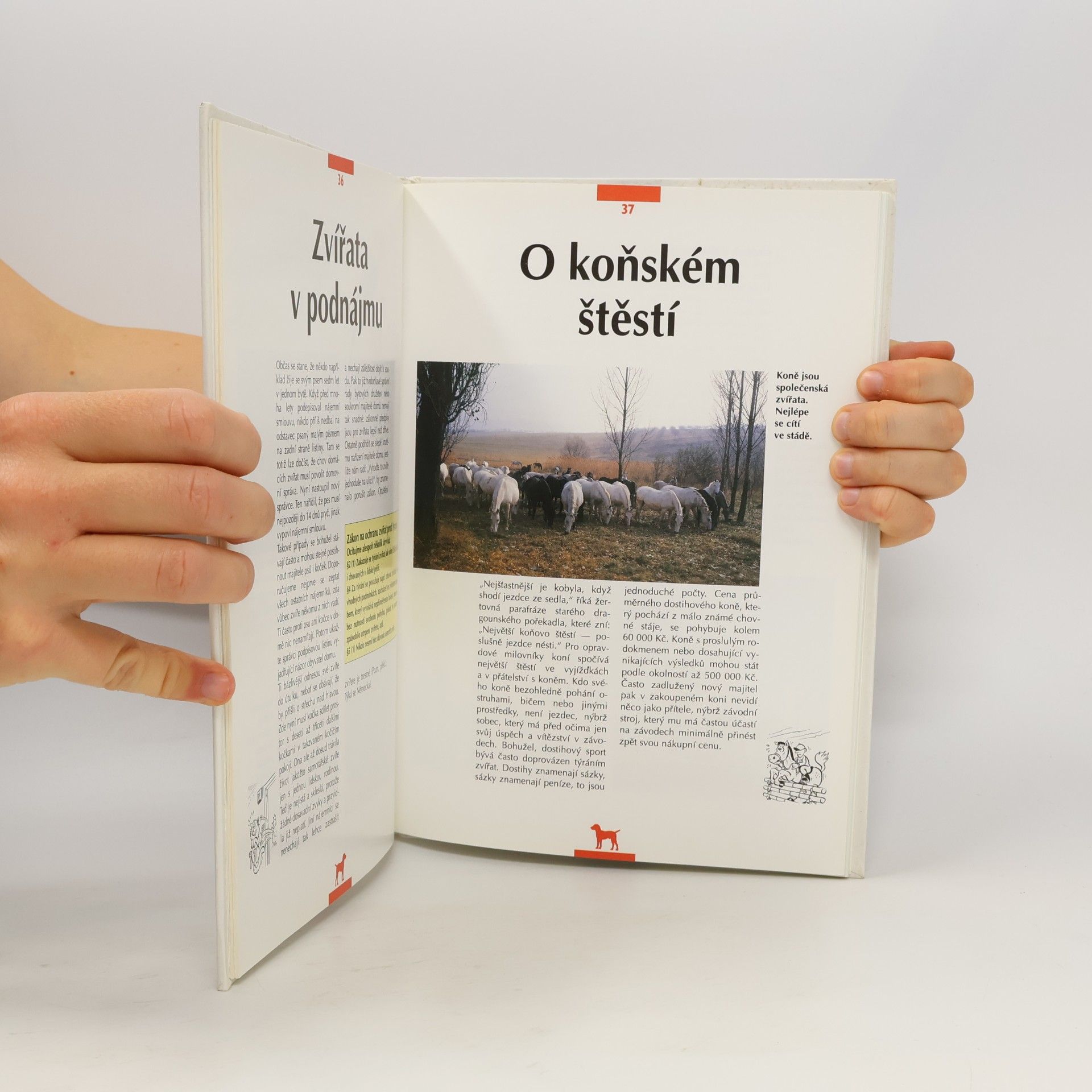 Anneliese Zum Kolk Láska ke zvířatům