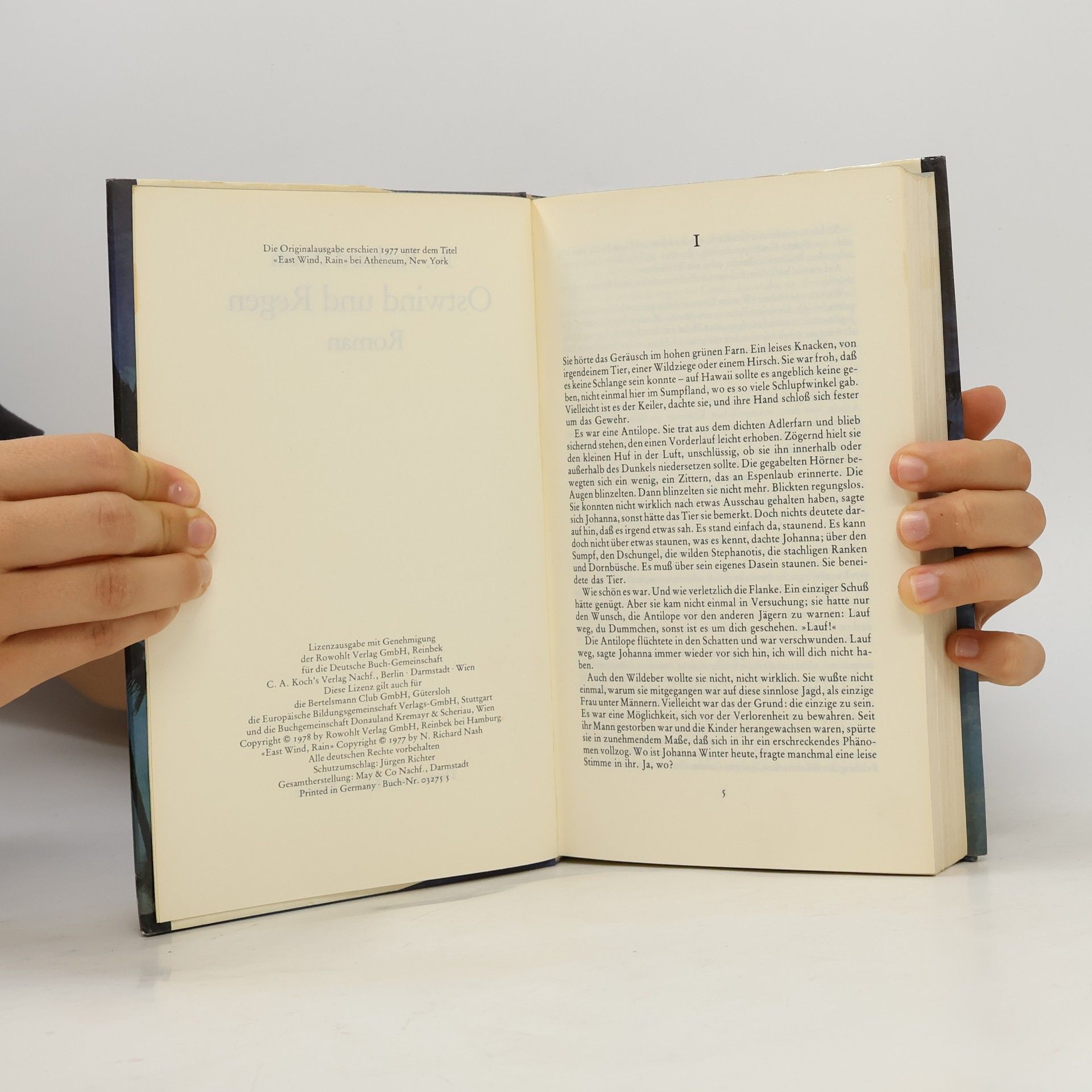 N. Richard Nash Ostwind und Regen