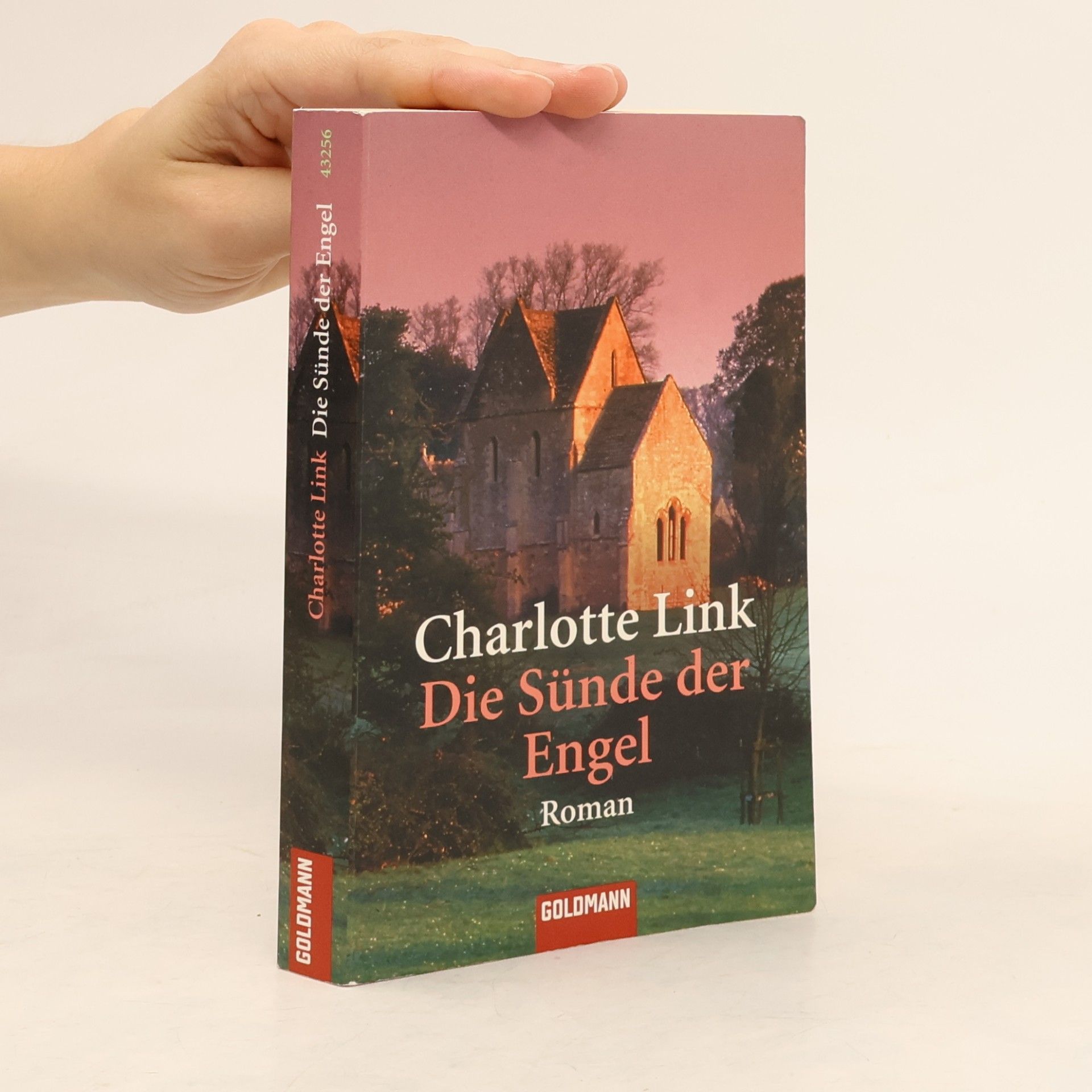 Charlotte Link Die Sünde der Engel