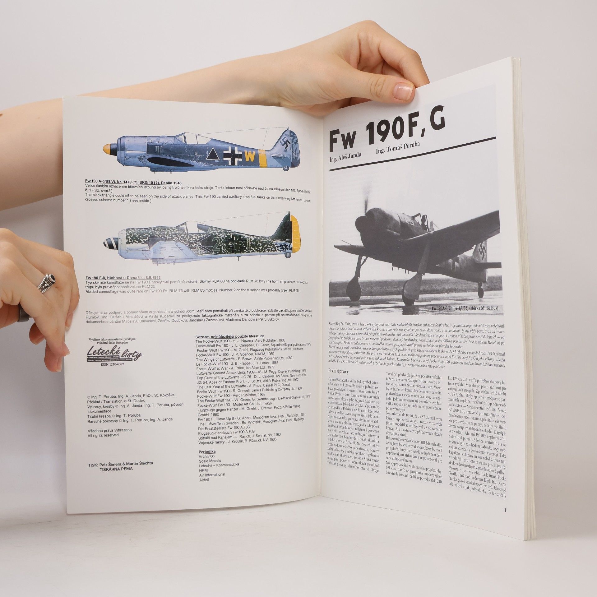 Kolektiv autorů Fw 190F, G