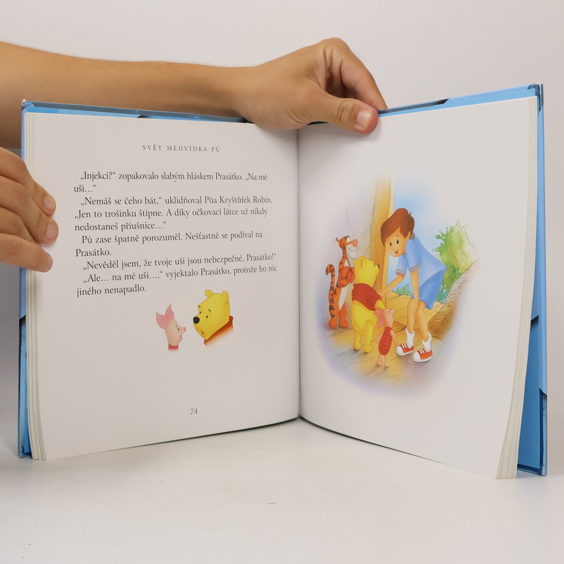 Autorenkollektiv Svět Medvídka Pú : čtení na dobrou noc