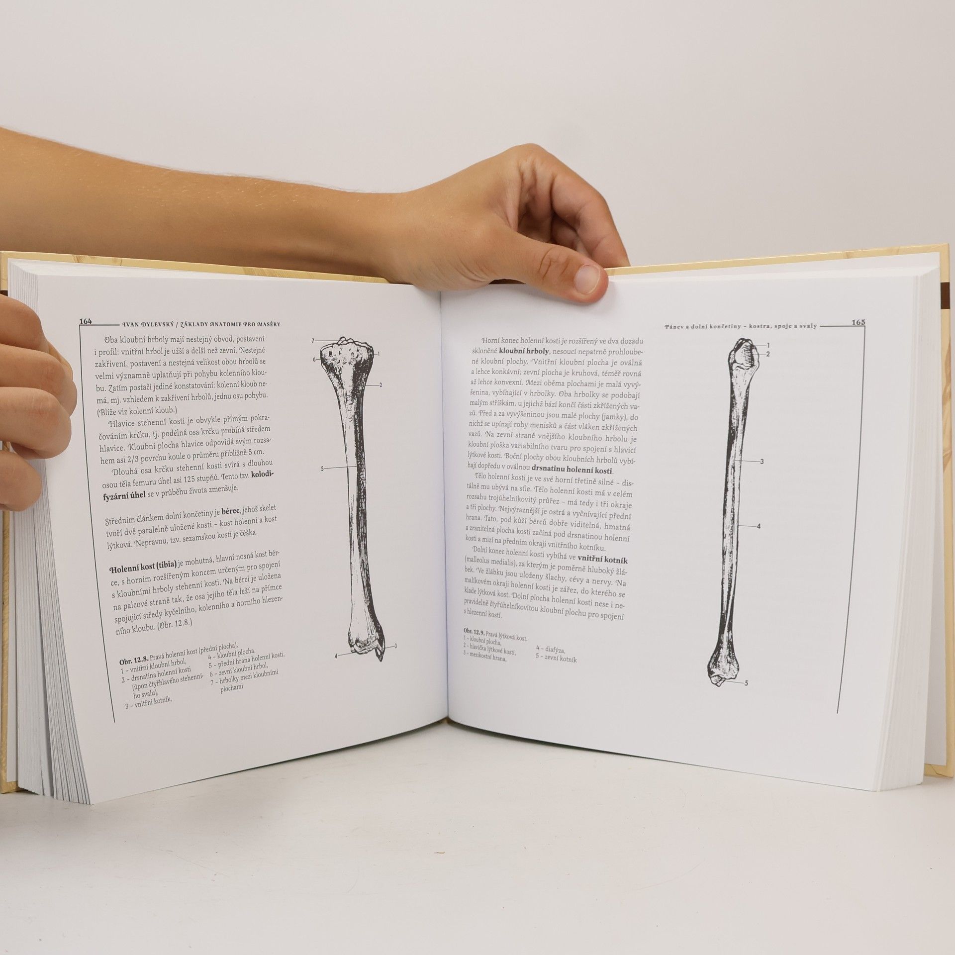 Ivan Dylevský Základy anatomie pro maséry