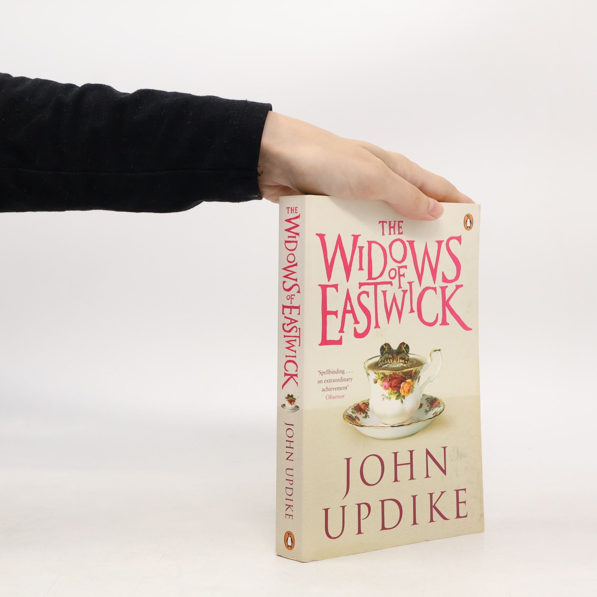 John Updike The Widows of Eastwick