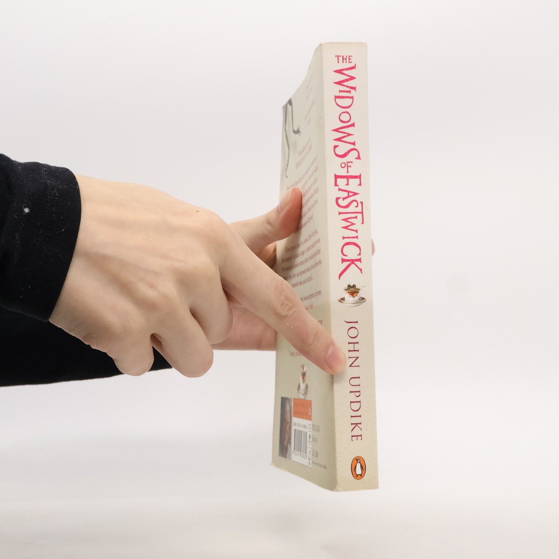 John Updike The Widows of Eastwick