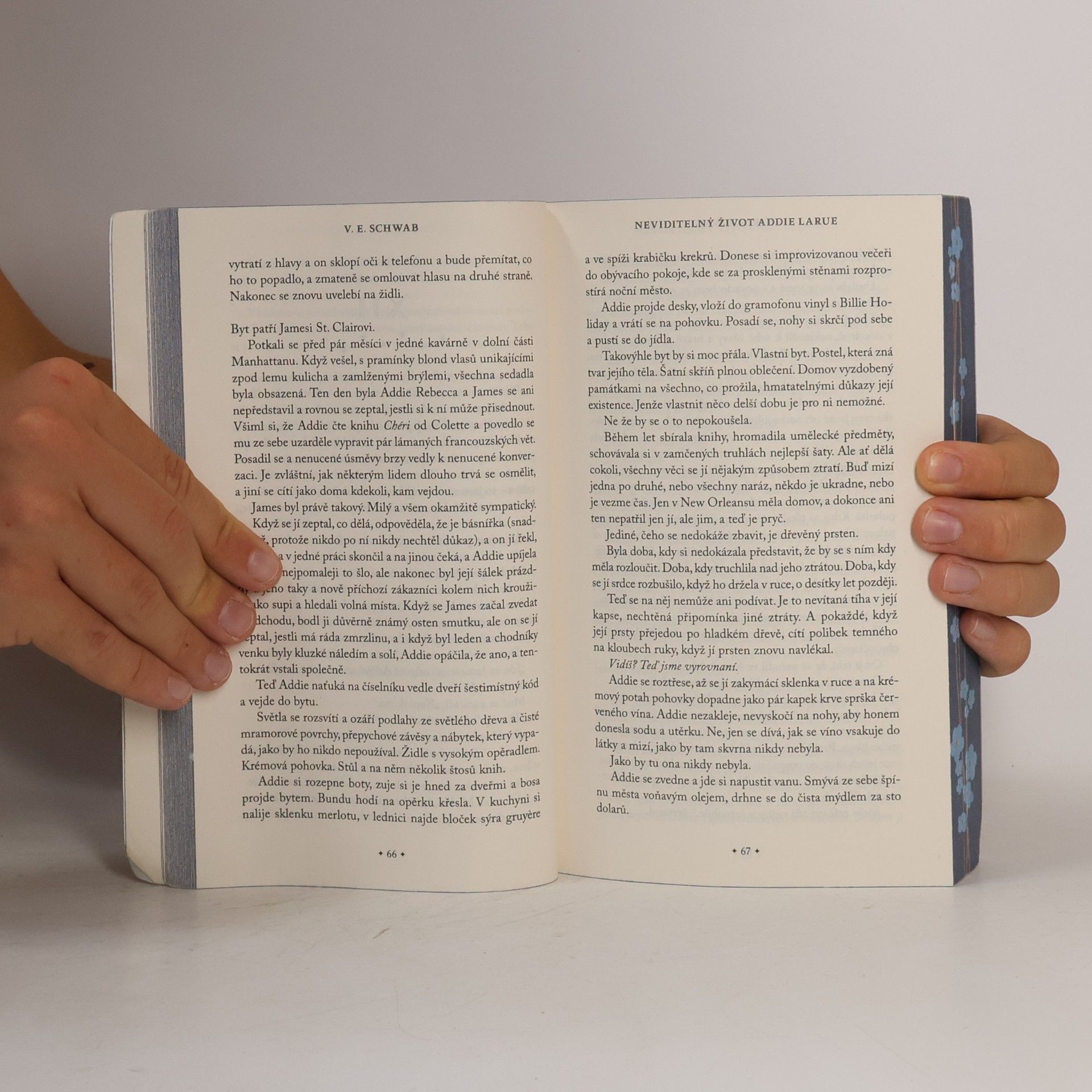 V. E. Schwab Neviditelný život Addie LaRue