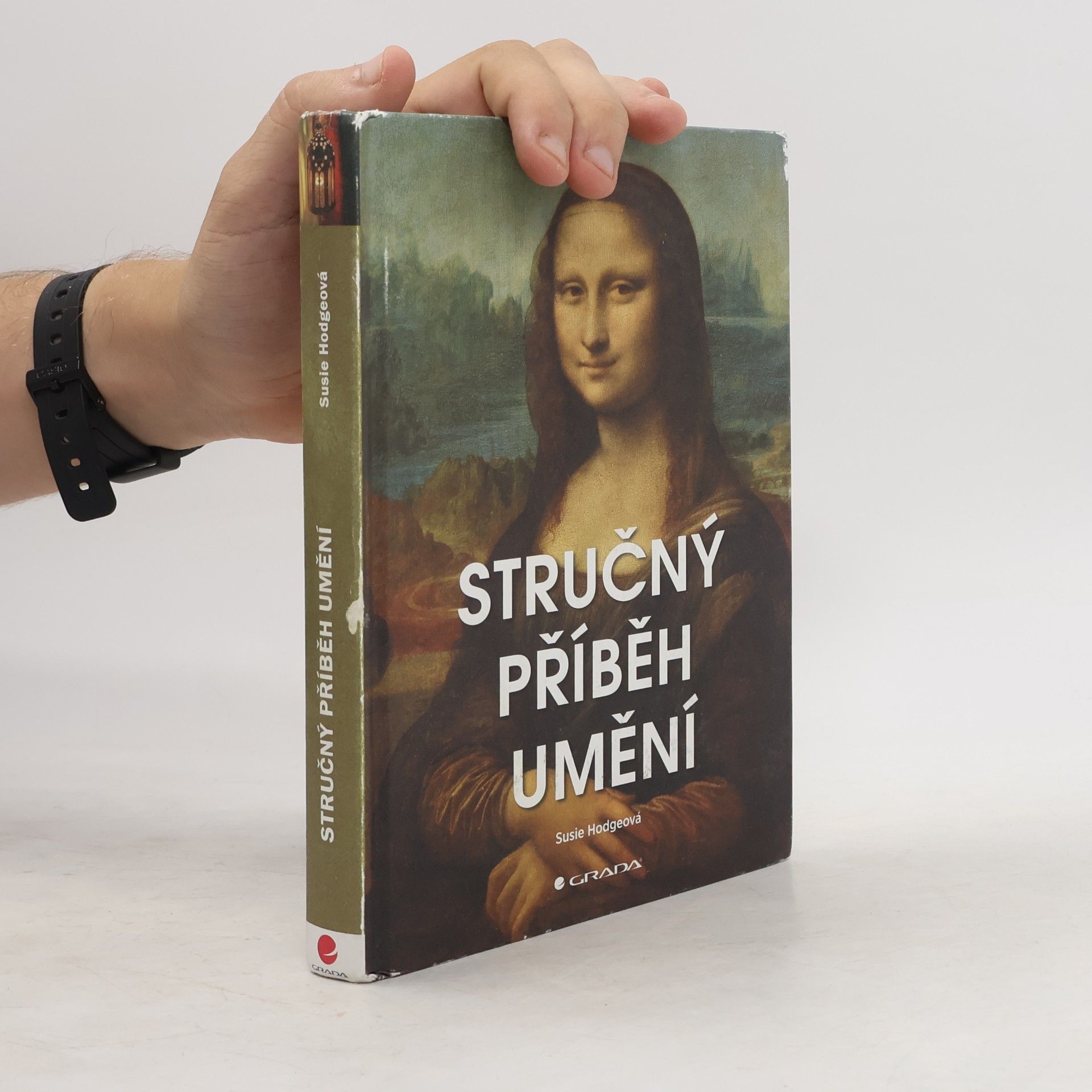 Susie Hodge Stručný příběh umění