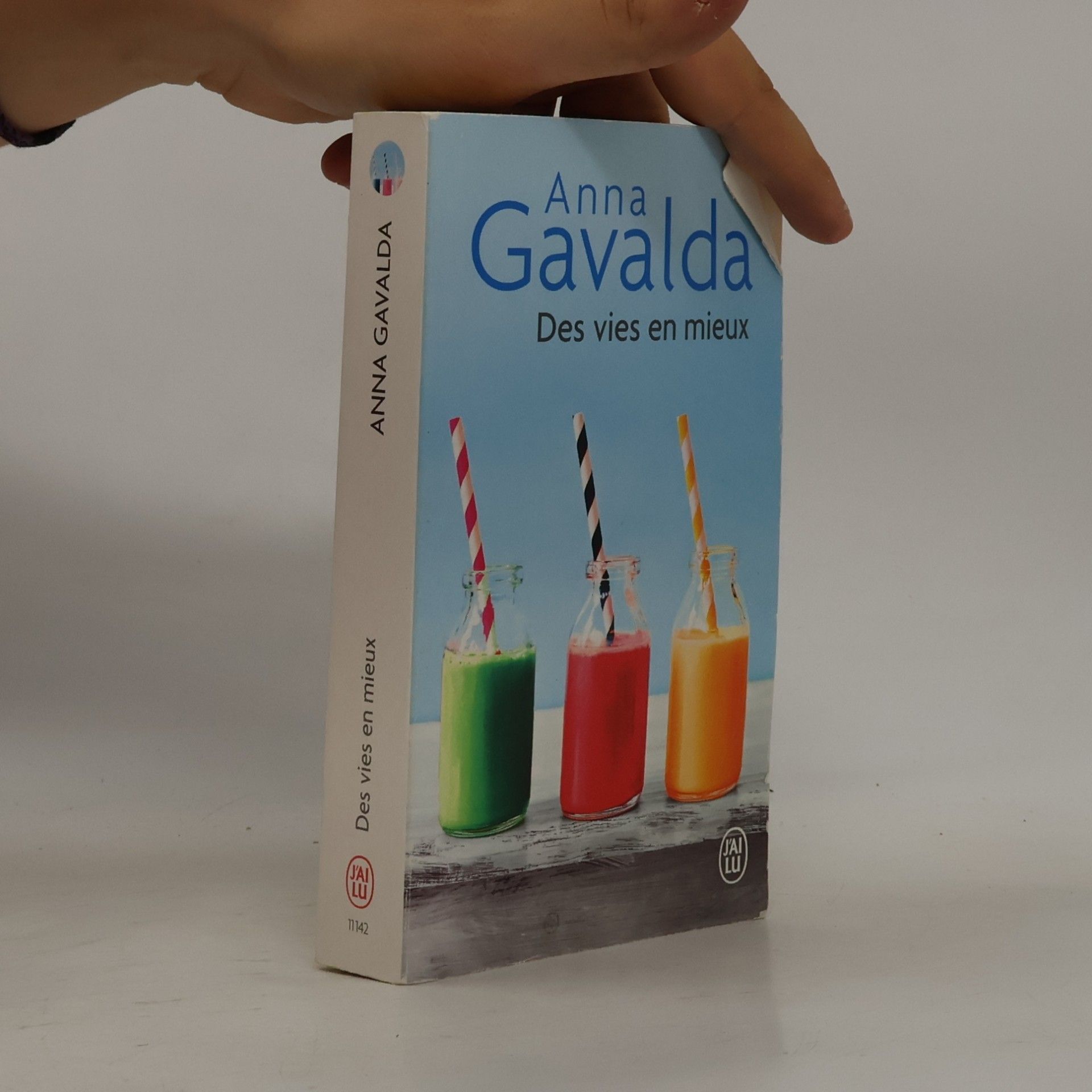 Anna Gavalda Des vies en mieux