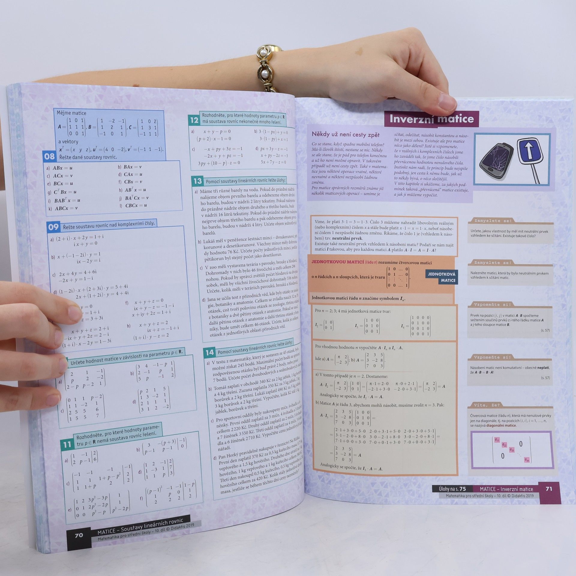 Václav Zemek Matematika pro střední školy. 10. díl, Komplexní čísla, polynomy, matice, základy diferenciálního a integrálního počtu. Učebnice