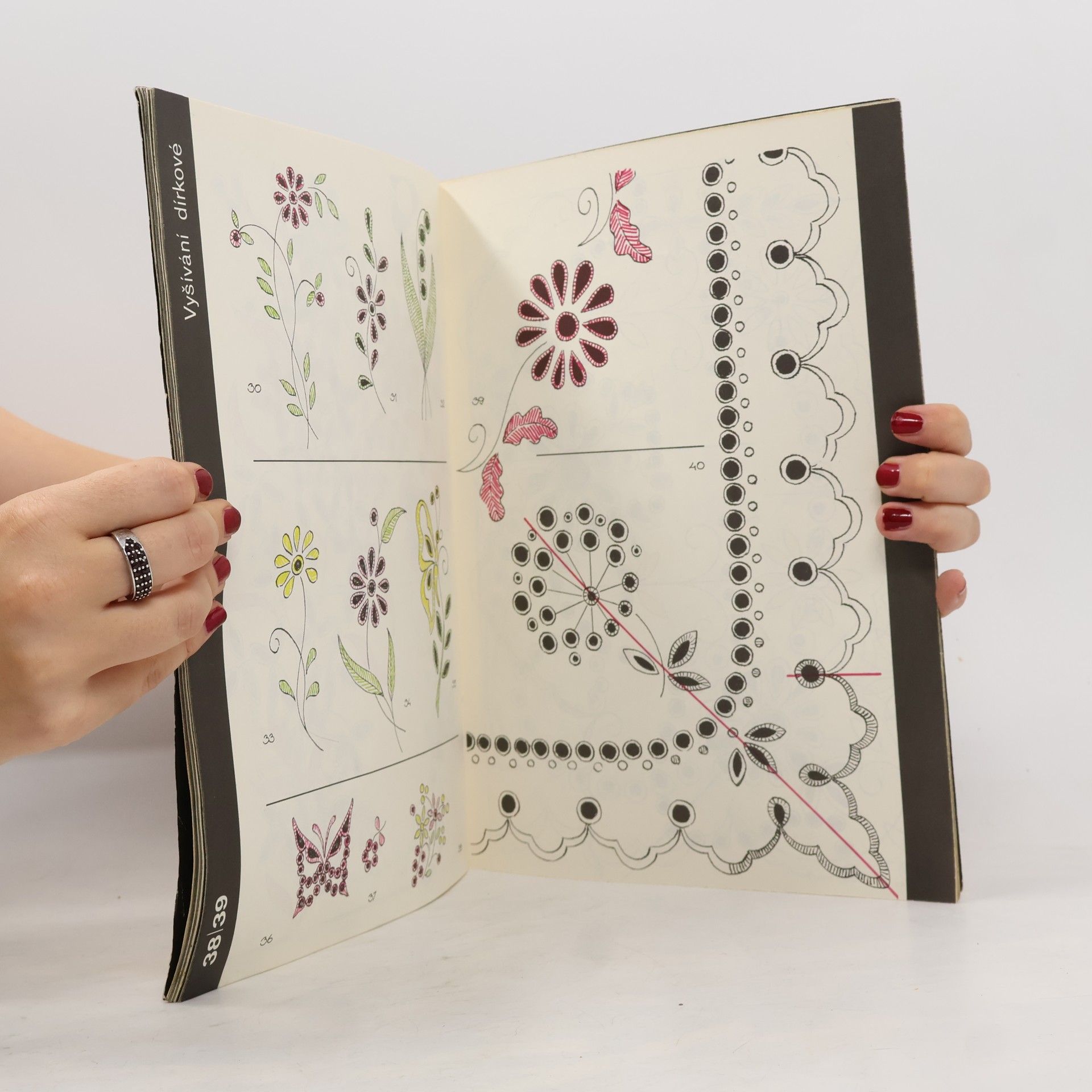 Marie Benešová Vyšívání: Vyšívání rišelie, dírkované, pavoučků a knoflíků (5.díl)