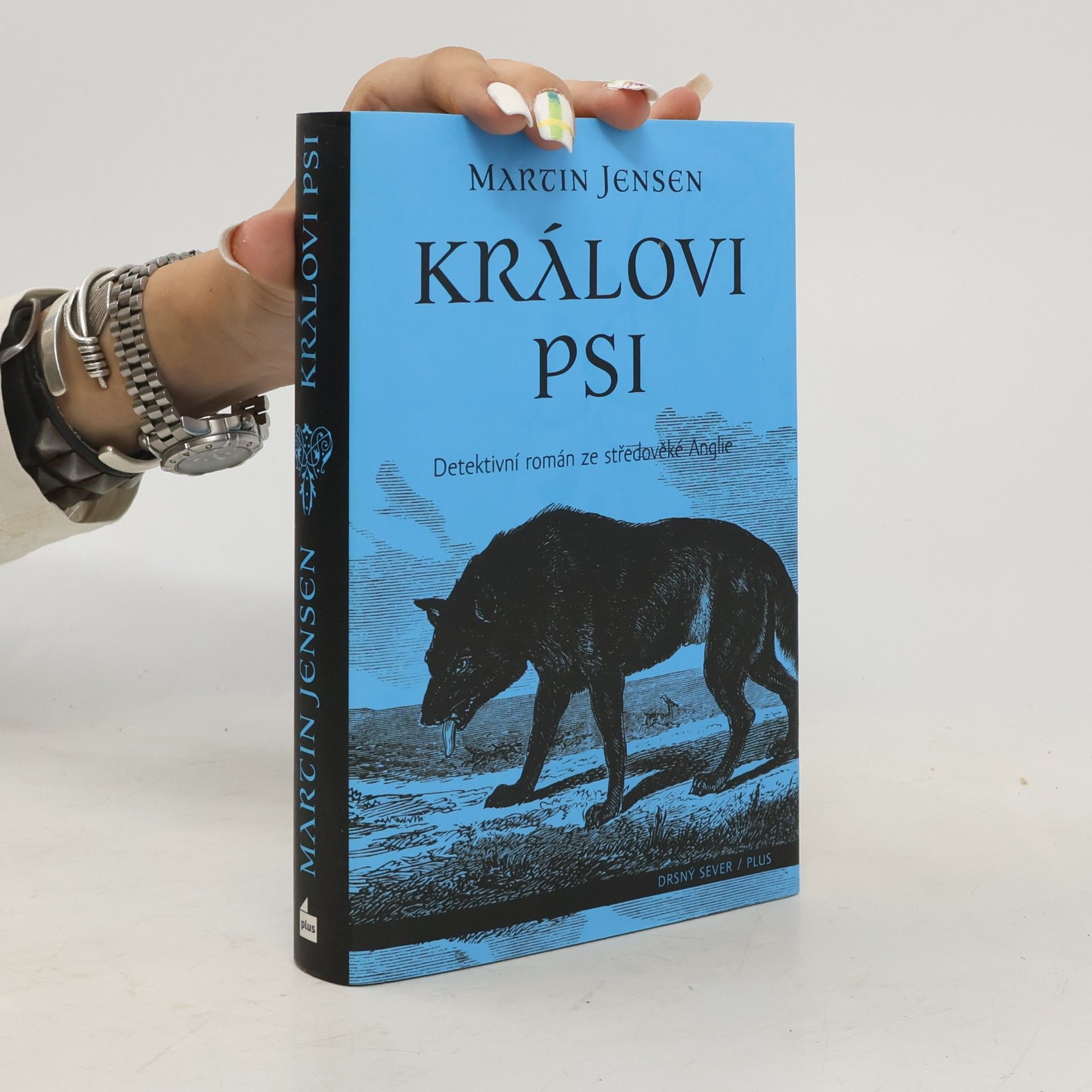 Martin Jensen Královi psi
