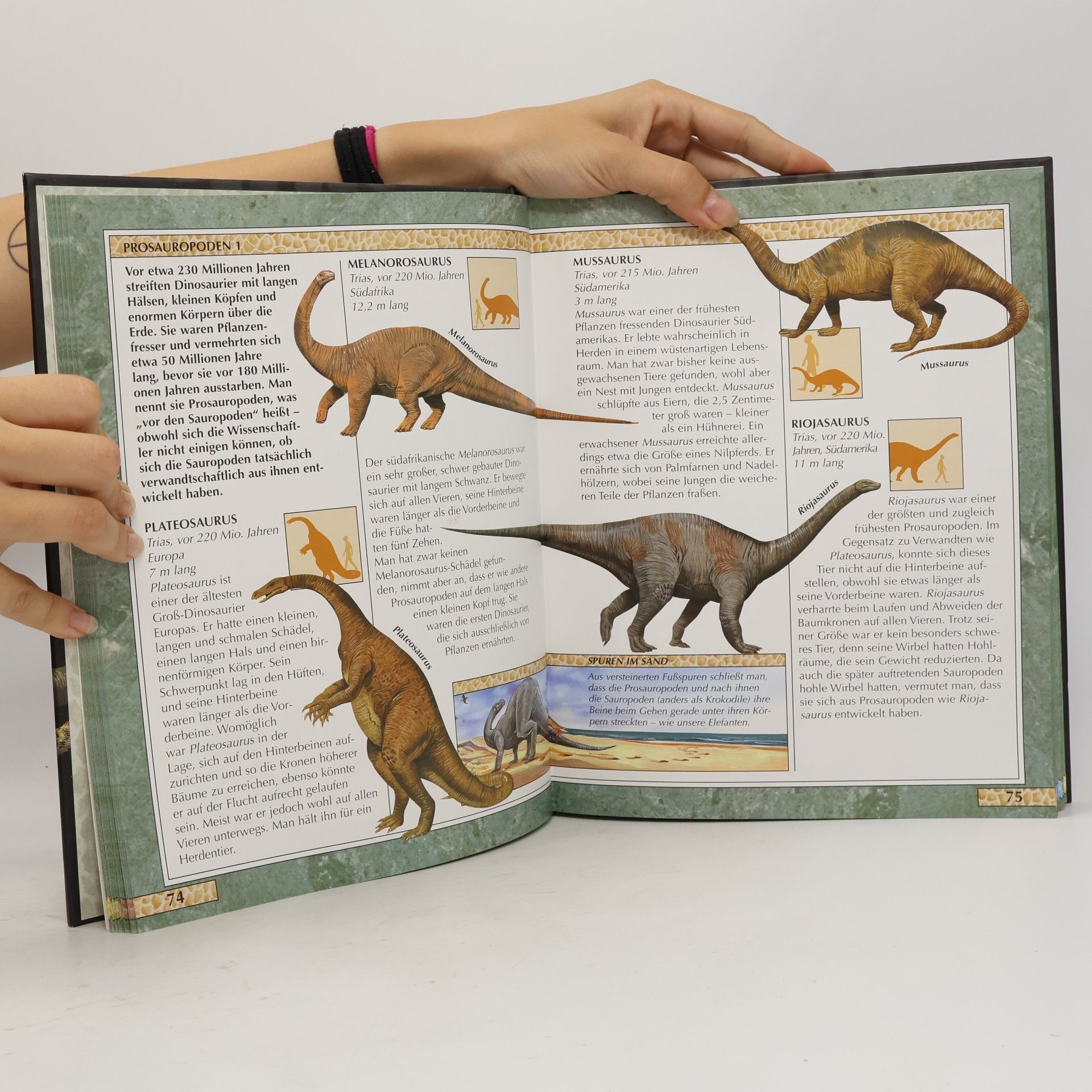 Steve Parker Das Reich der Dinosaurier
