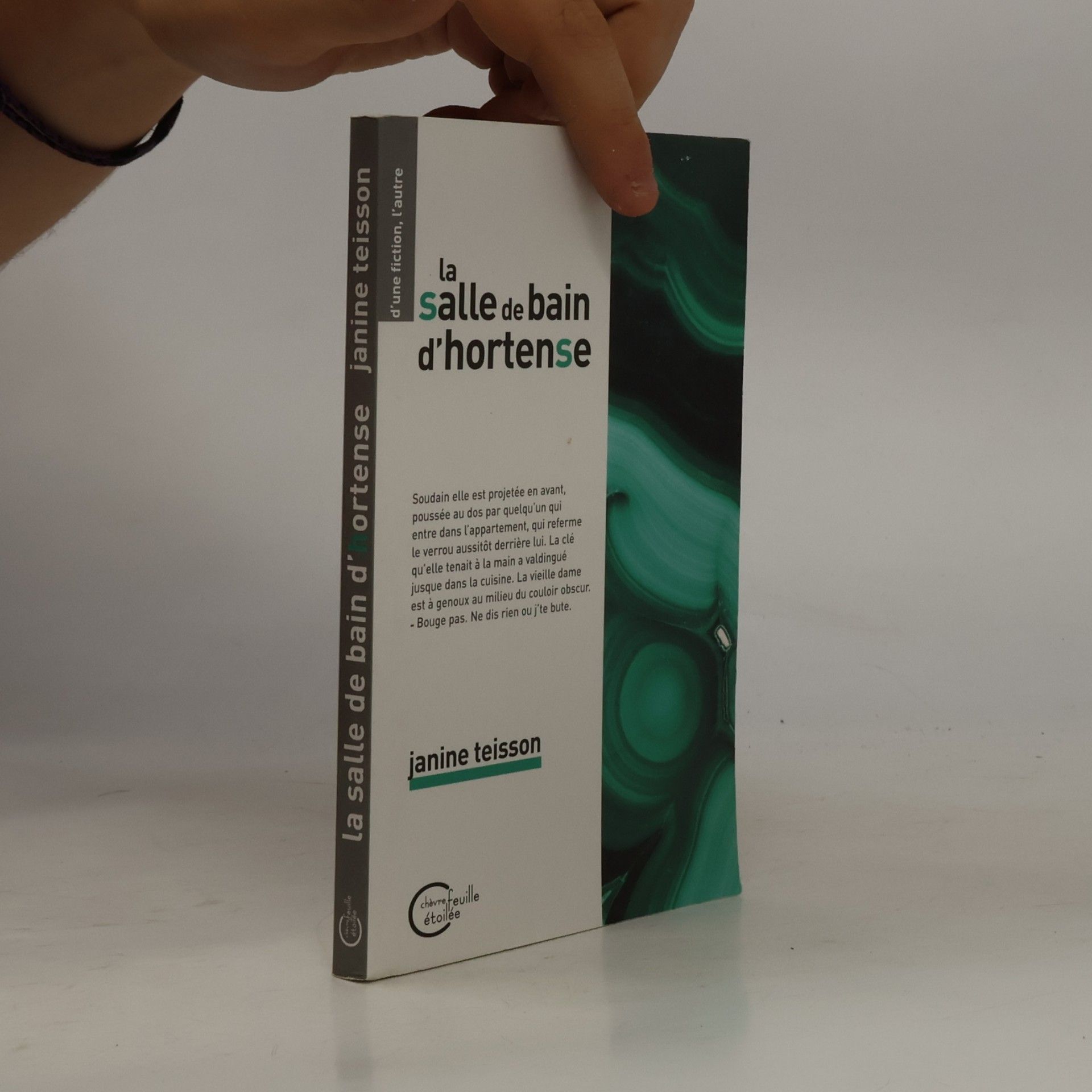 Janine Teisson D'une fiction, l'autre: La Salle de bain d'Hortense