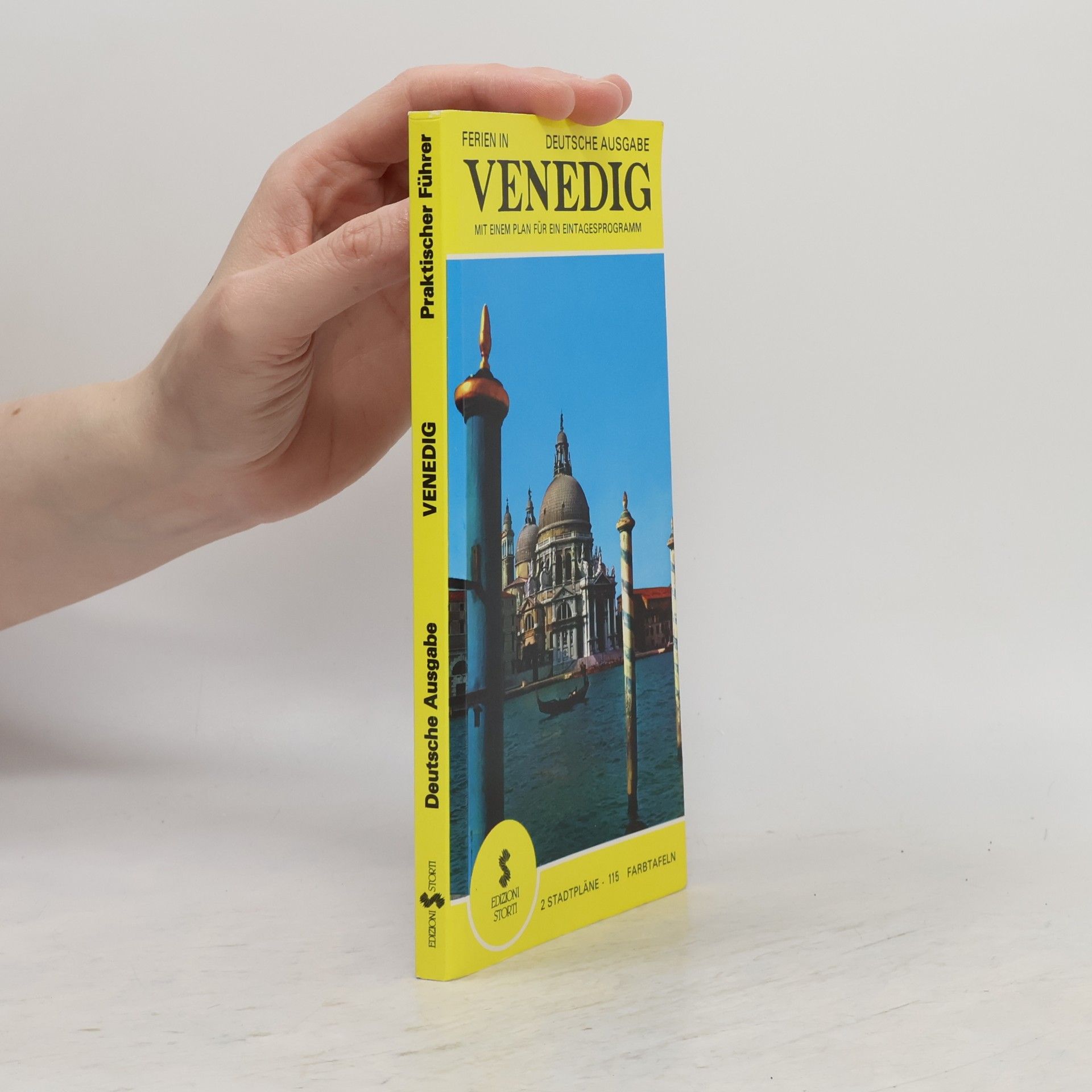 Amedeo Storti Venice. A Practical Guide