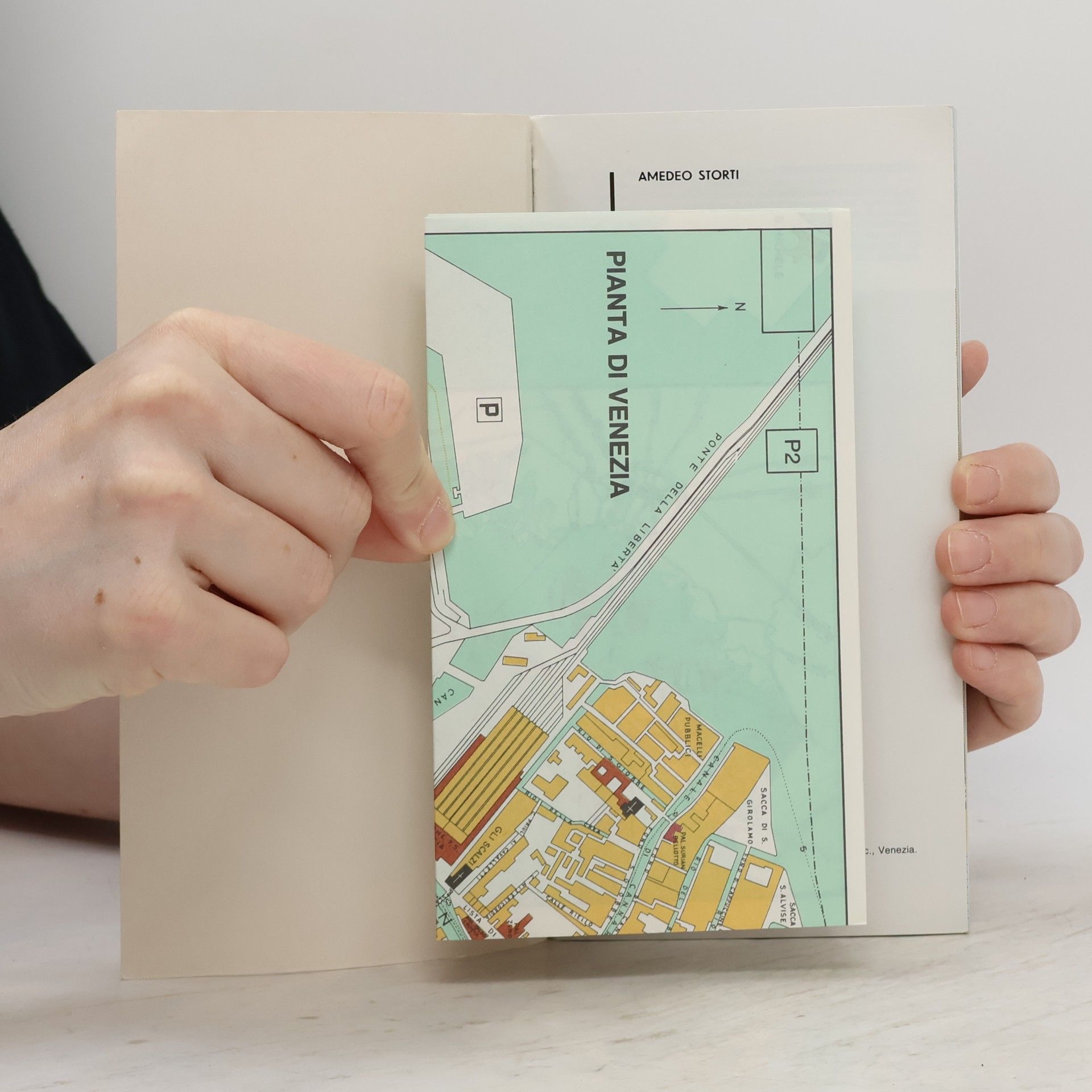 Amedeo Storti Venice. A Practical Guide