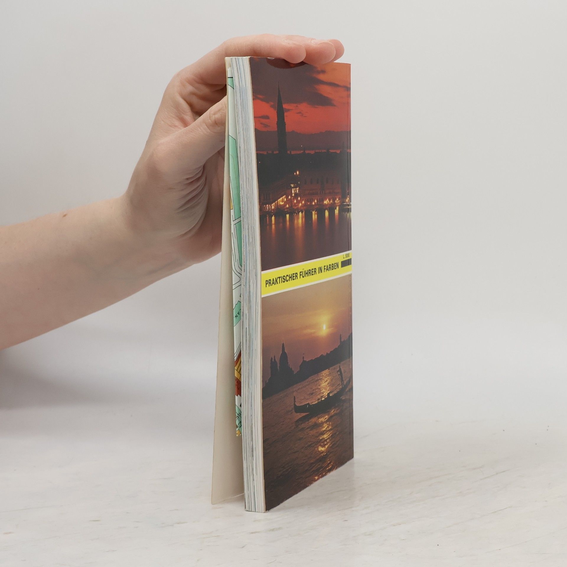 Amedeo Storti Venice. A Practical Guide