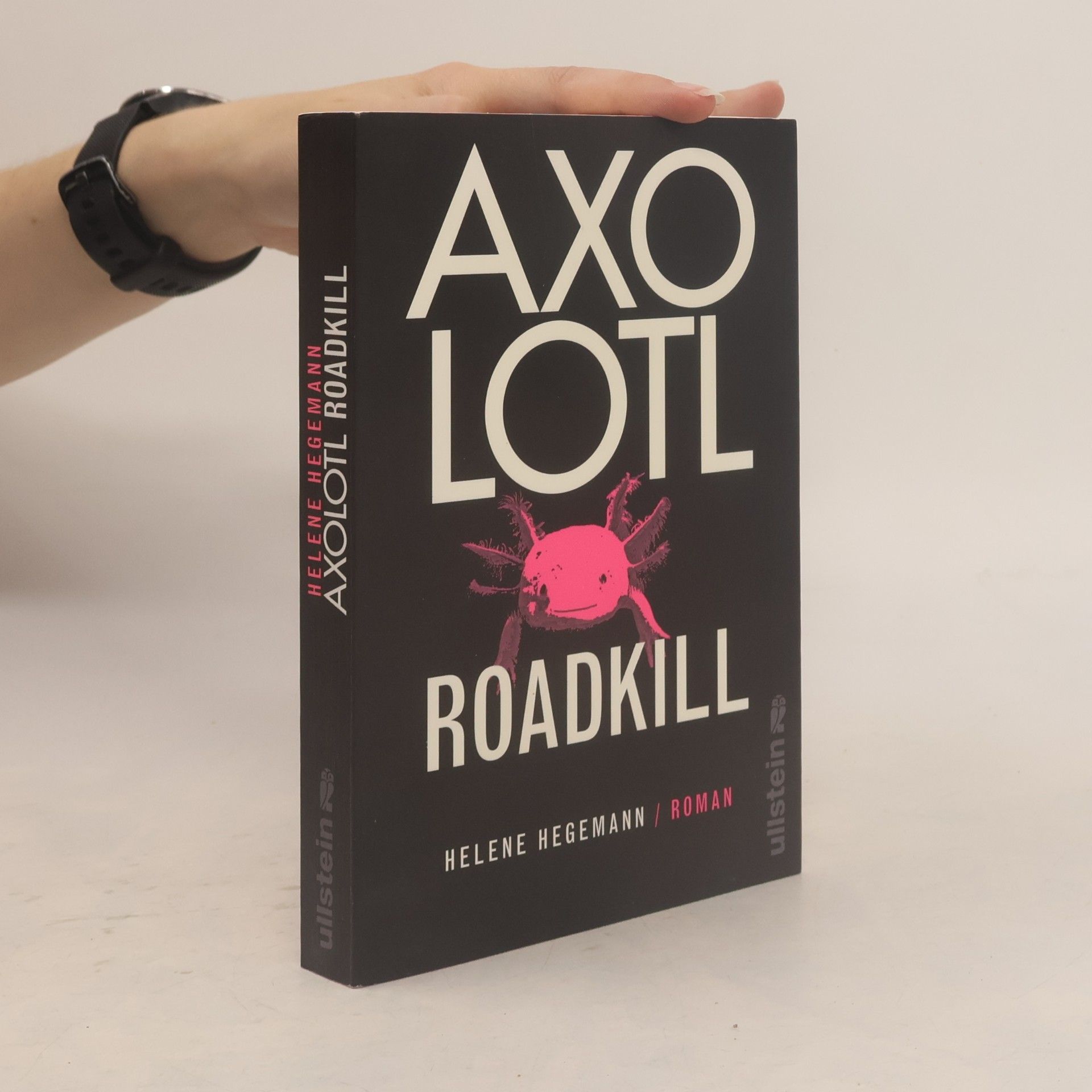 Helene Hegemann Axolotl Roadkill : Roman